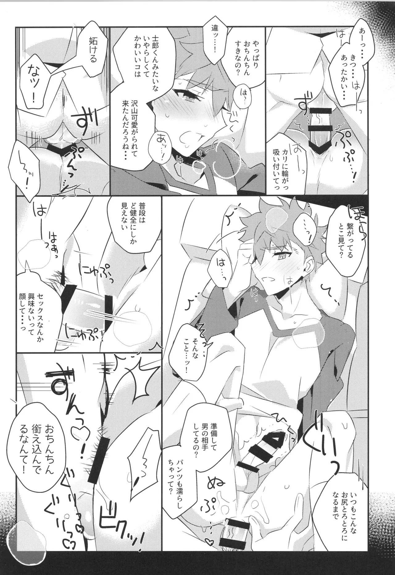 衛宮士郎MANIAX-1ST Page.12