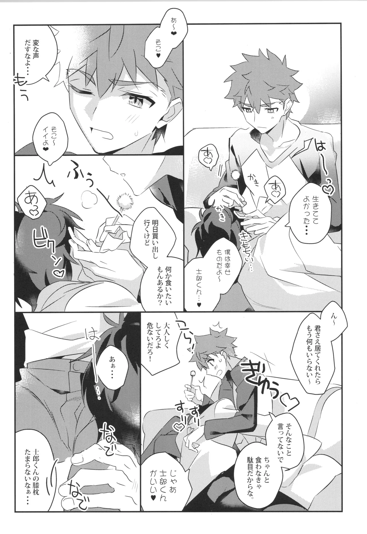 衛宮士郎MANIAX-1ST Page.6