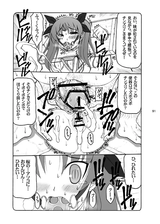蟲鳥総集編デジタル版 Page.91