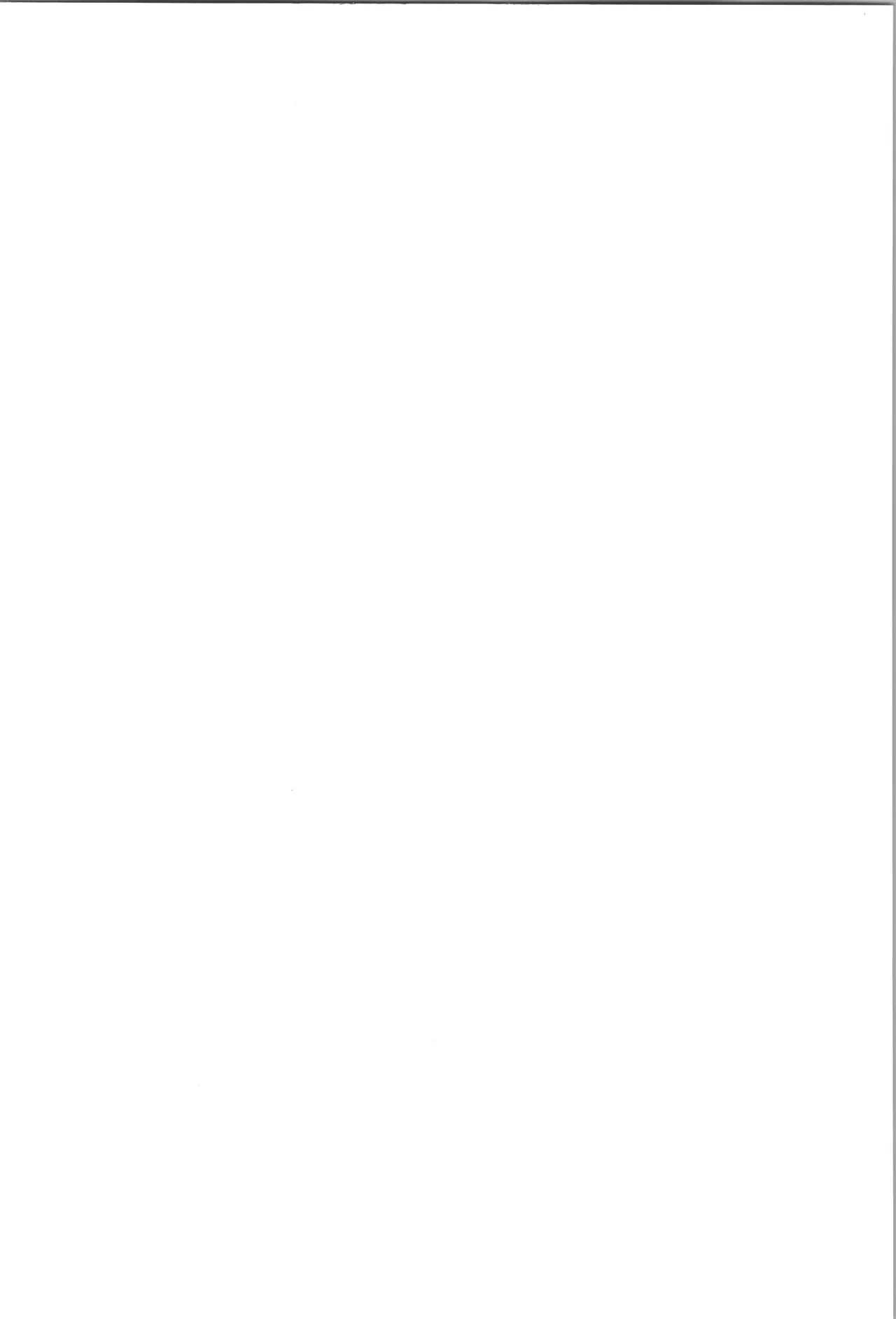 ENDLESS HAPPY END Page.4