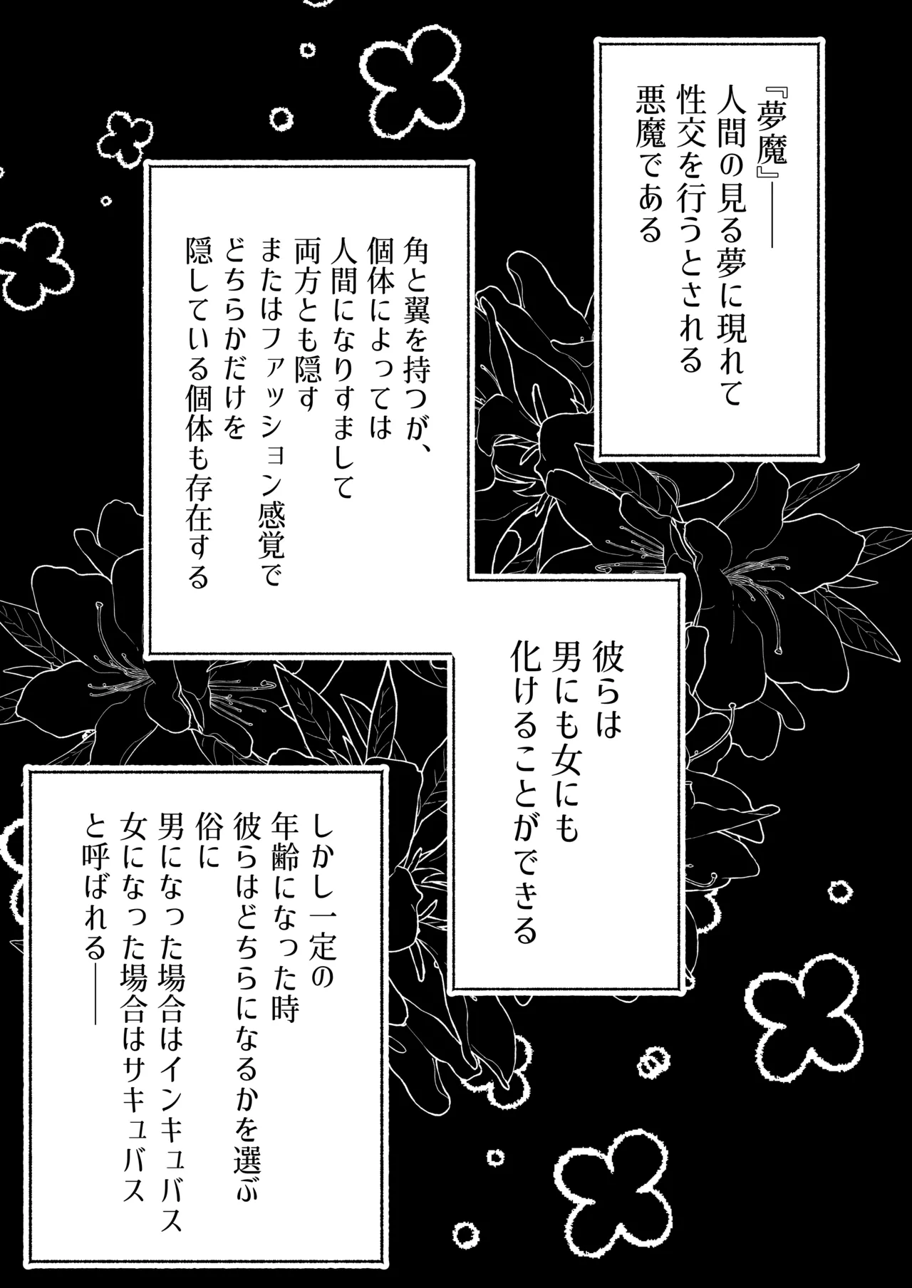 サキュバスちゃん Page.2