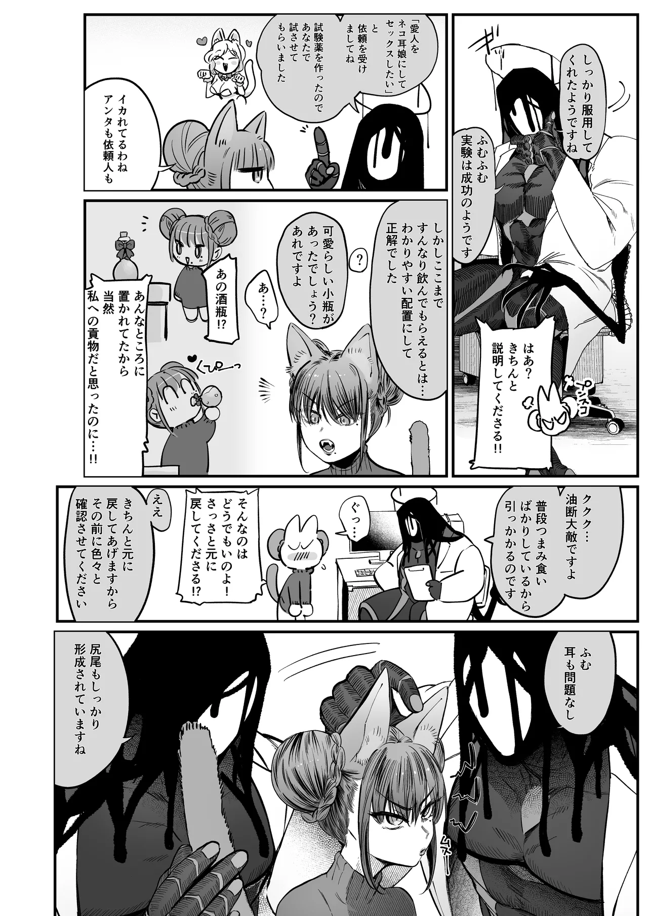 メスネコ！ランホアちゃん Page.3