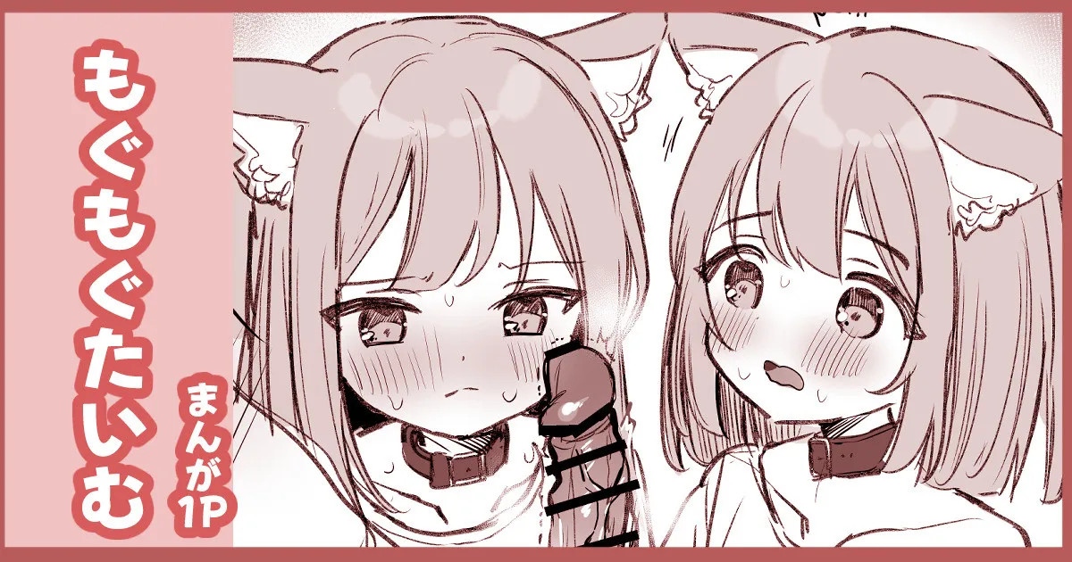 はつじょうにゃんこふたご
