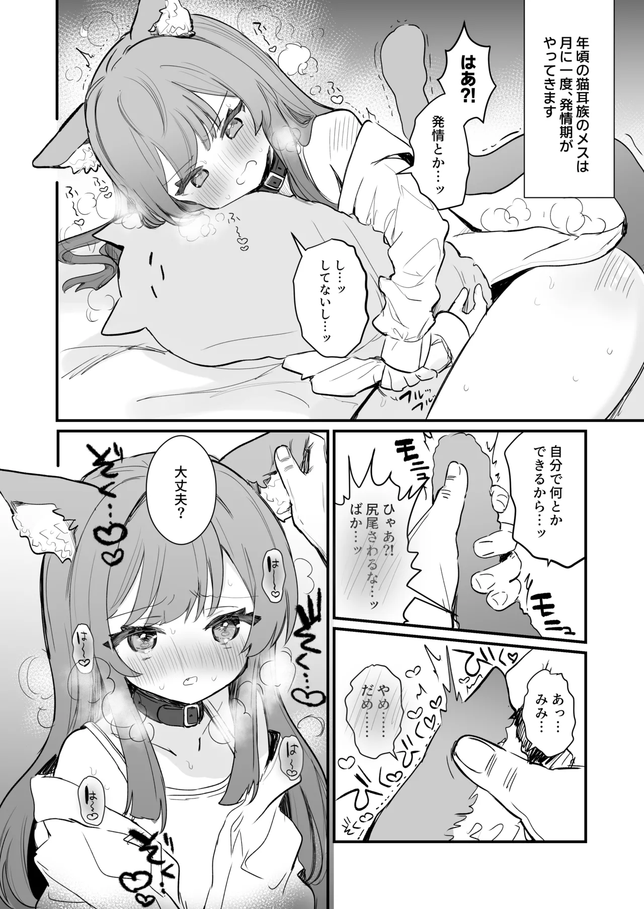 はつじょうきの処理 Page.2