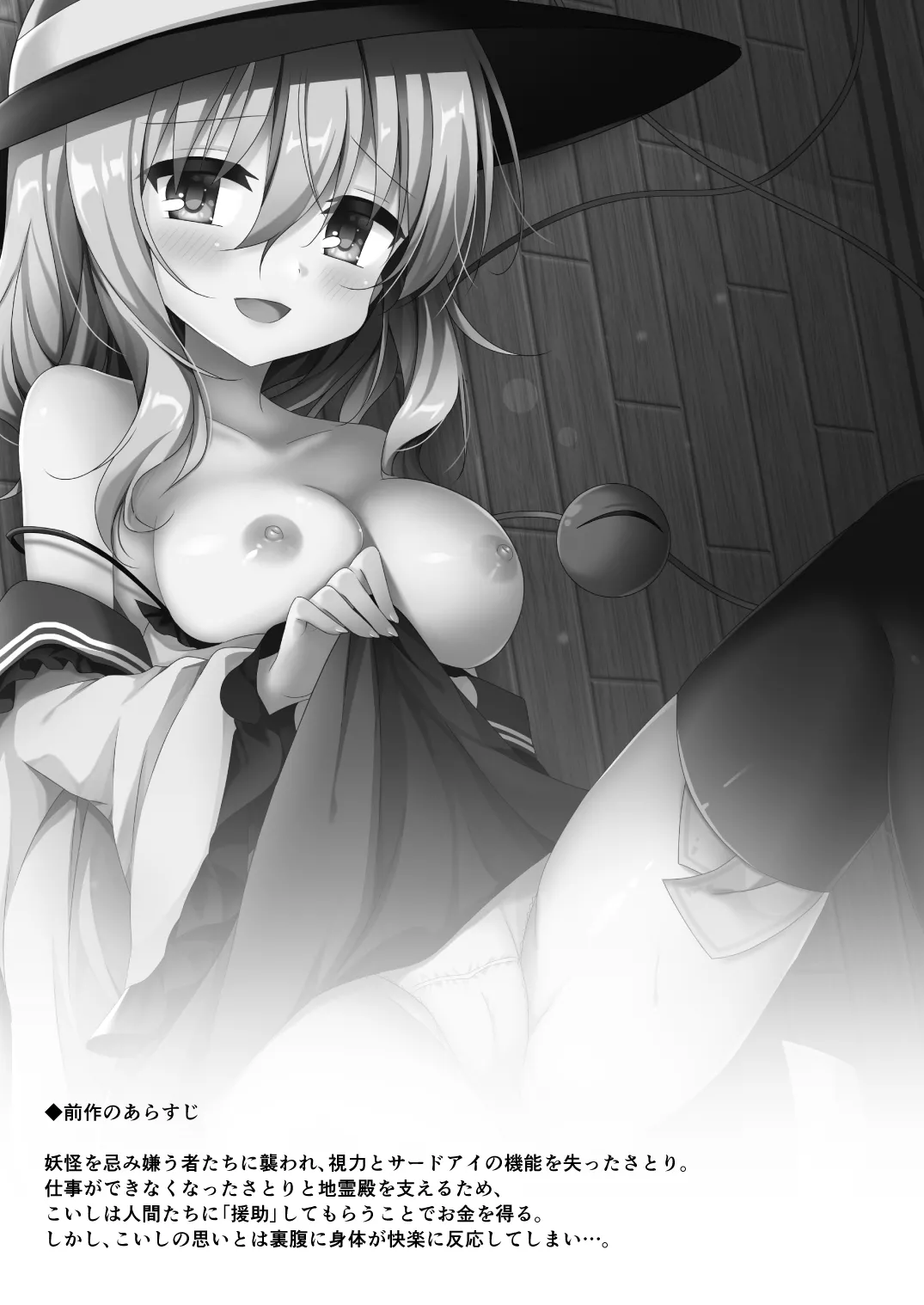 こいしちゃんのヒミツゴト2＋C89会場限定本 Page.3