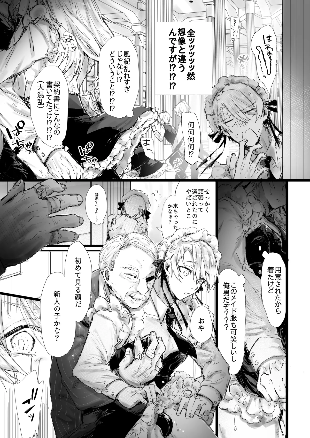 性処理メイドのお仕事 Page.5