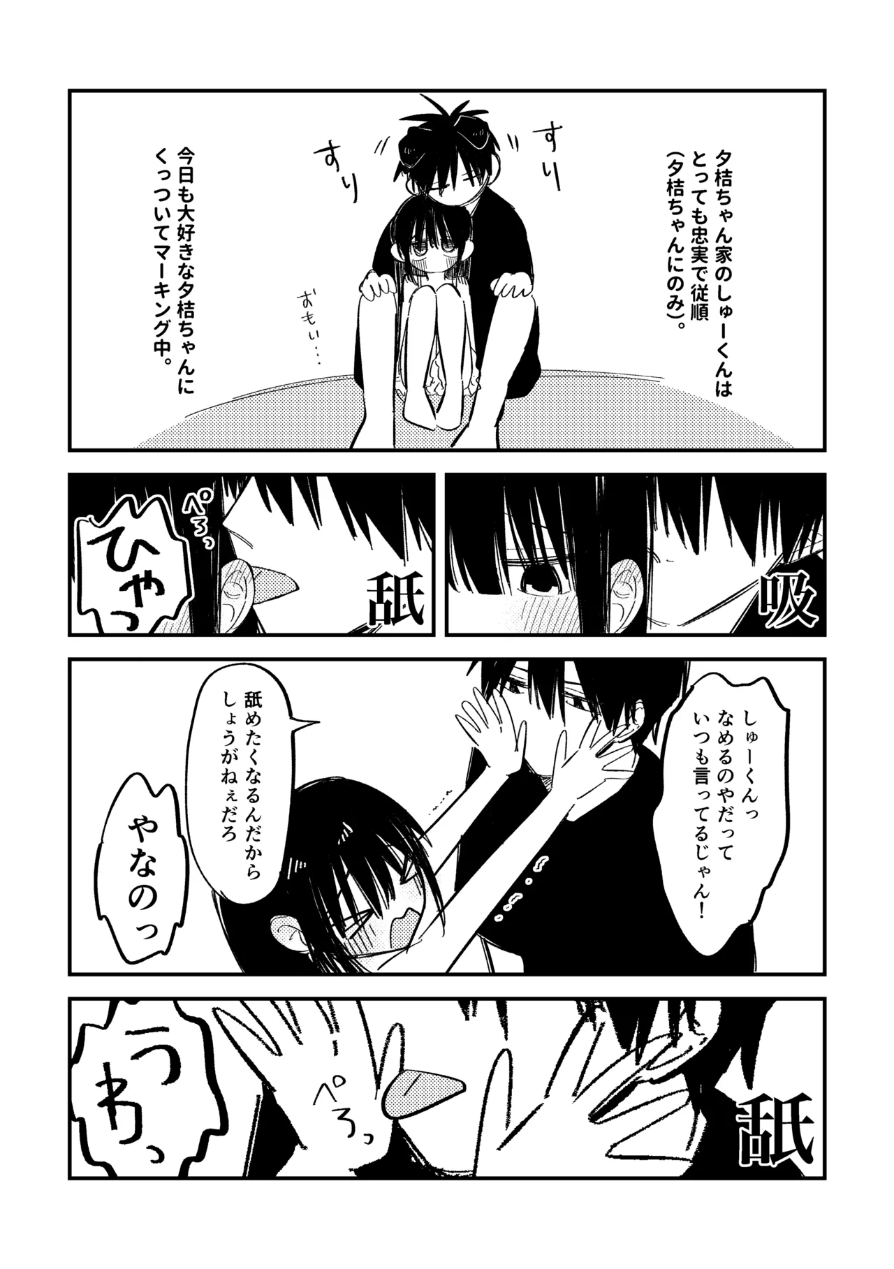 ゆきちゃん家のしゅーくん（犬） Page.3
