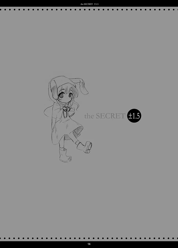 the SECRET ±1.5 Page.13