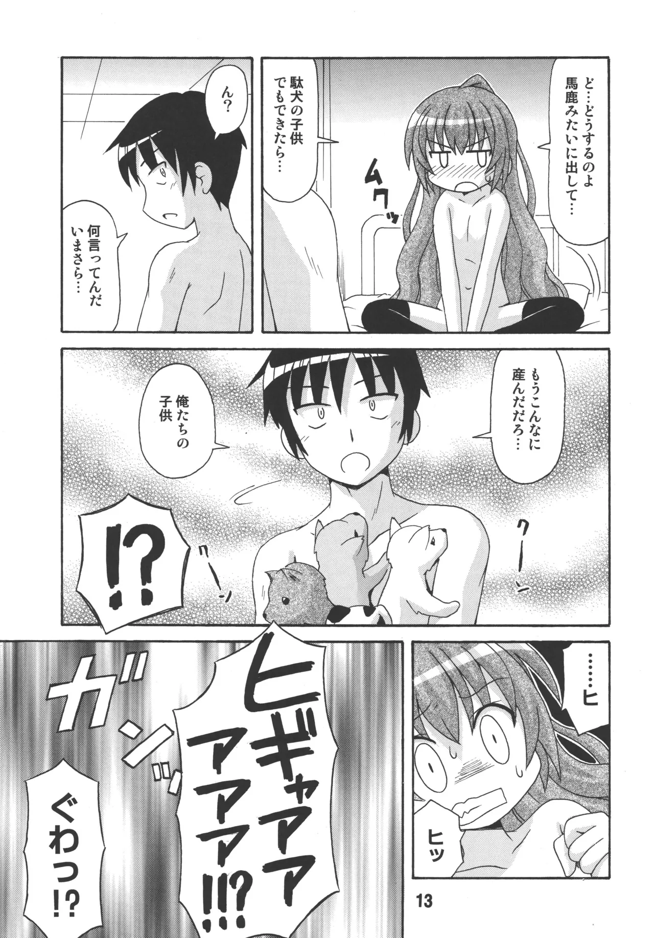 TAIGAX Page.12