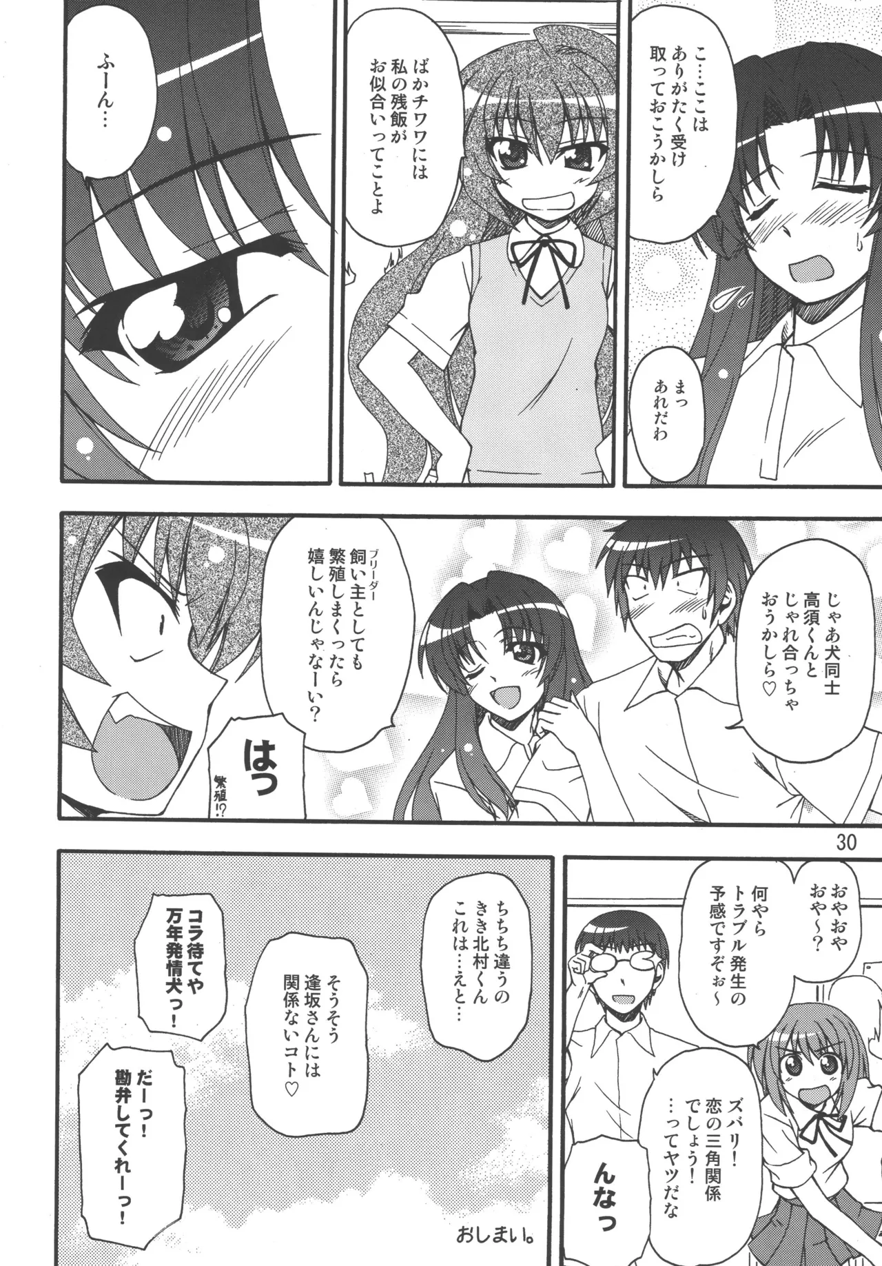 TAIGAX 2 Page.29