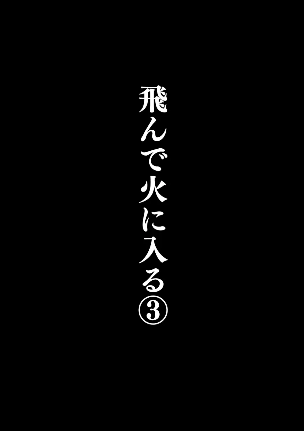 飛んで火に入る3 Page.3