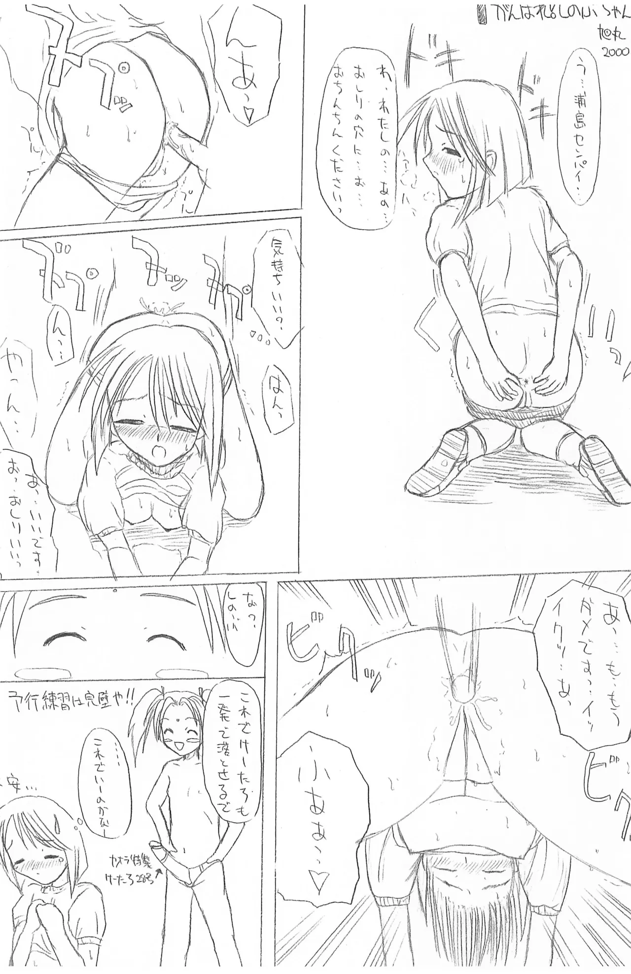 onput Page.15