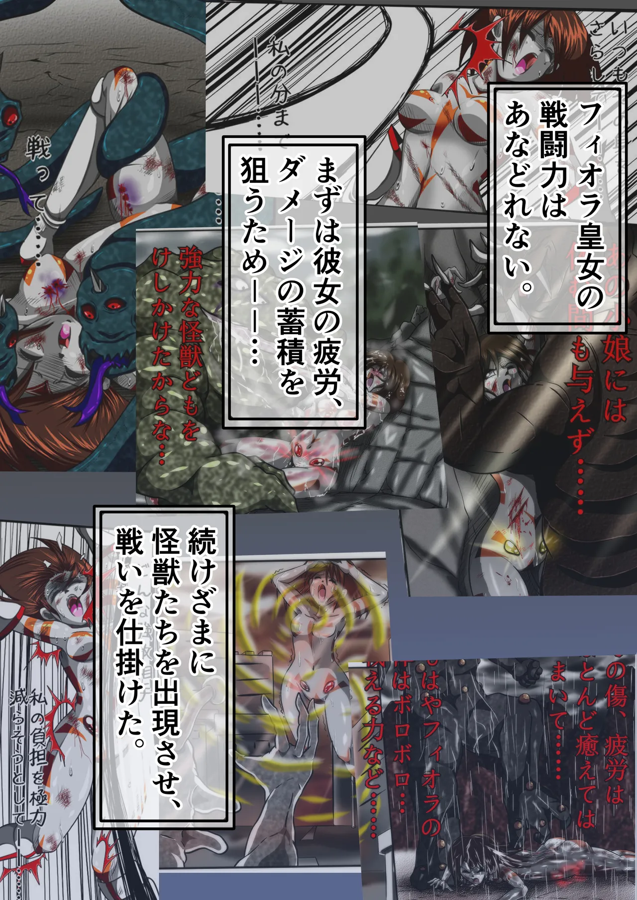 フィオラ クライシスⅤ Page.3