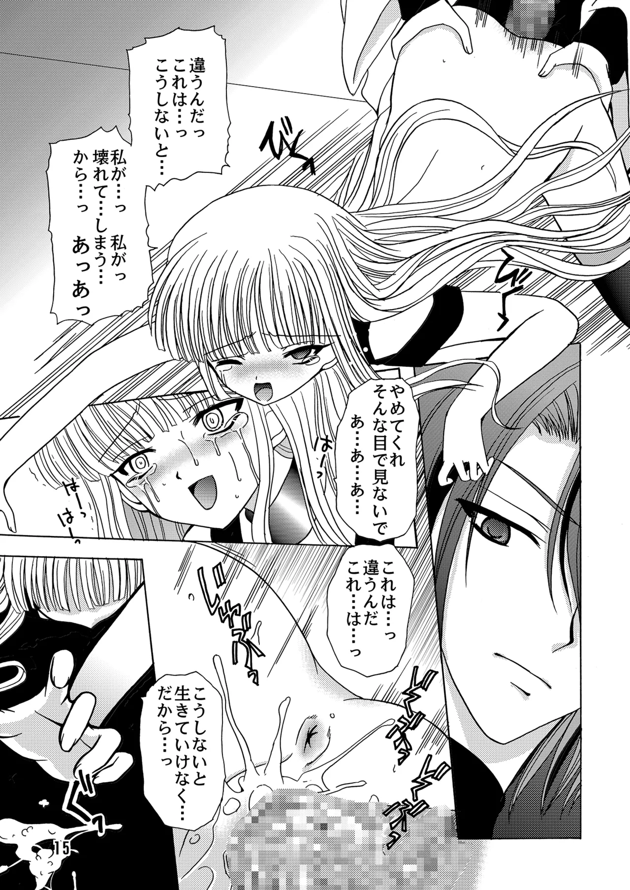 ARCANUMS6 Page.14