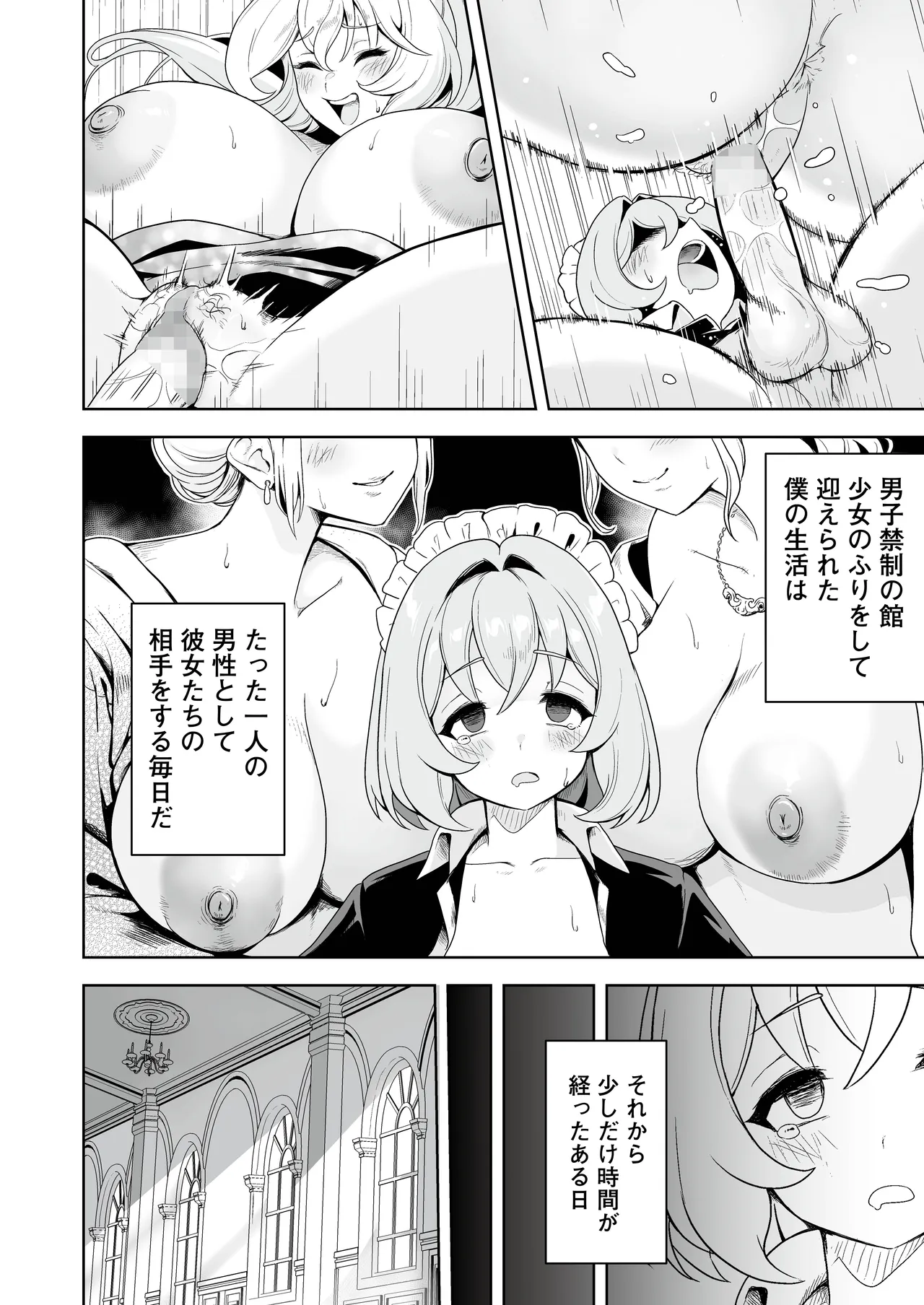 メイドたちの性事情2 〜男子禁制の館でメイドとして仕える僕が、女主人をイかせて堕とすまで〜 Page.3
