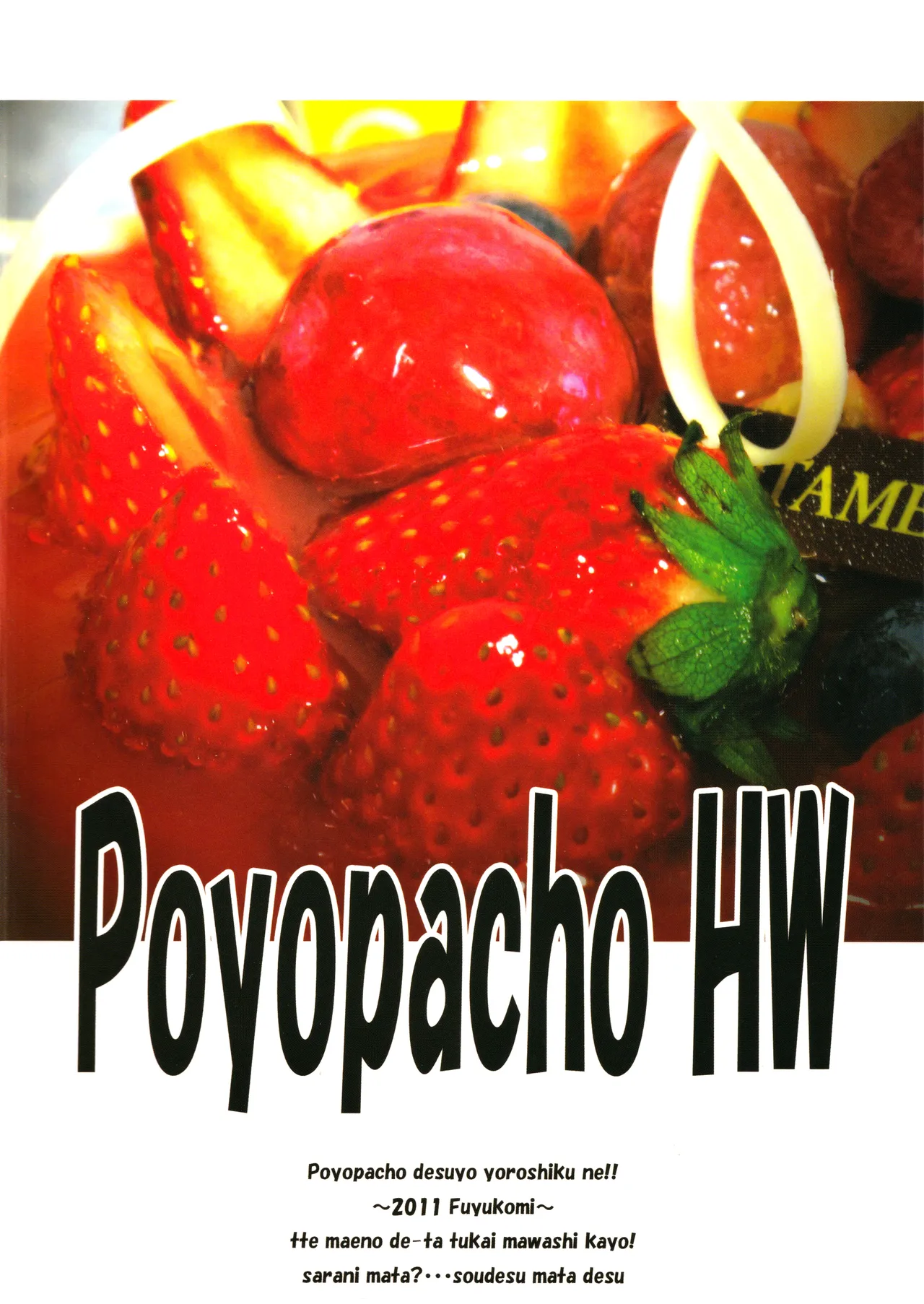 Poyopacho HW Page.26