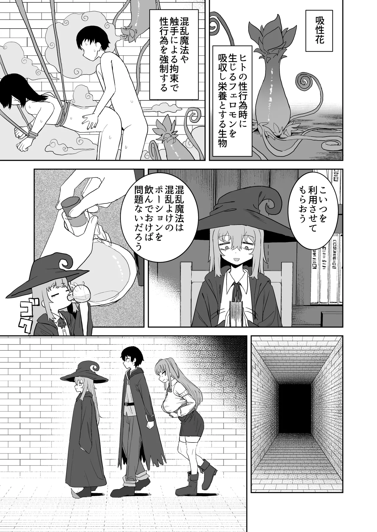 サキュバスが混乱している間に Page.5