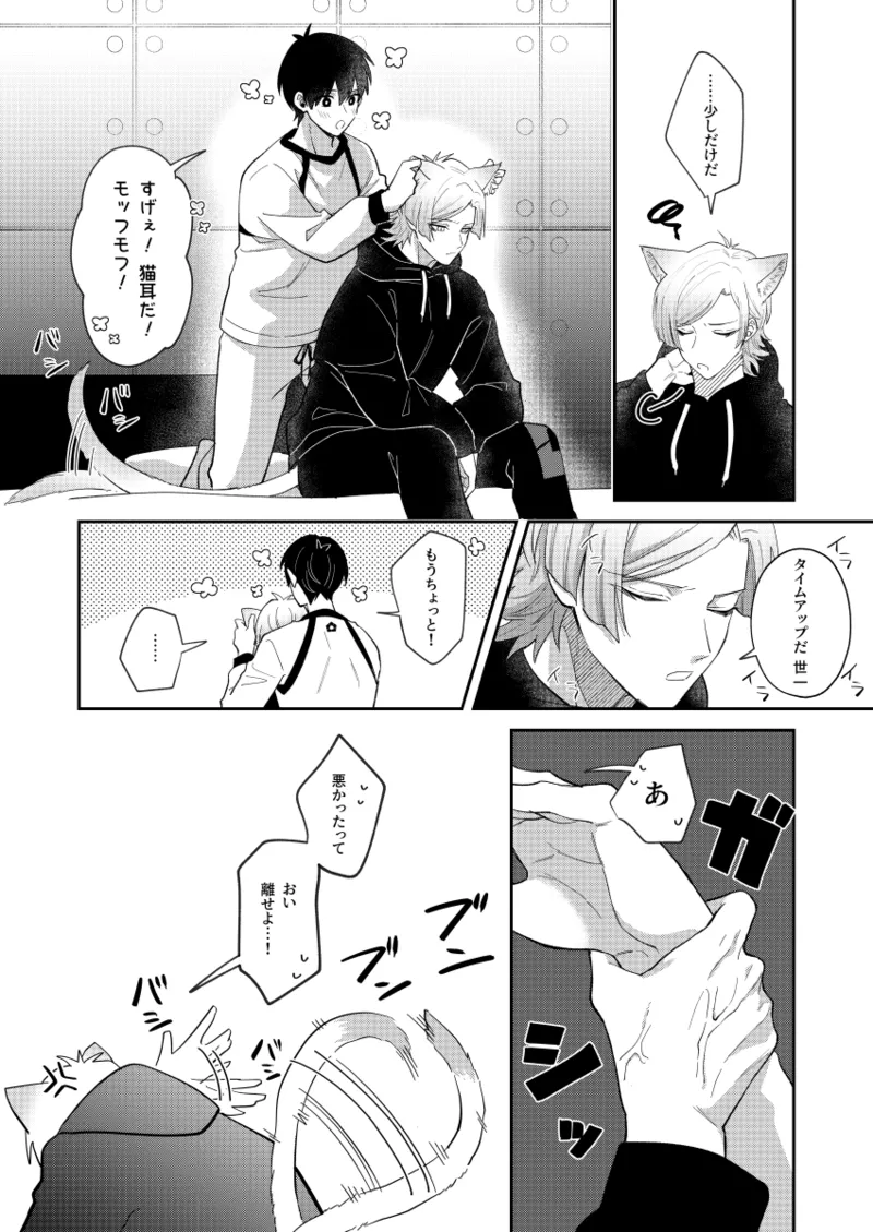 猫もけだものなので Page.12