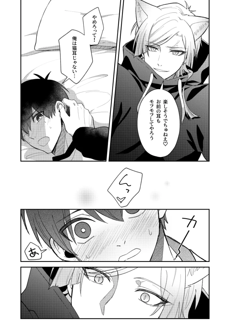 猫もけだものなので Page.13