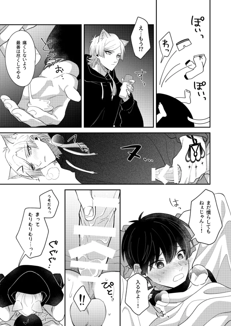 猫もけだものなので Page.19