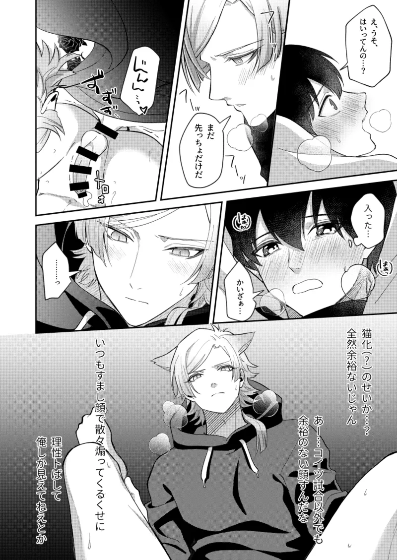 猫もけだものなので Page.20