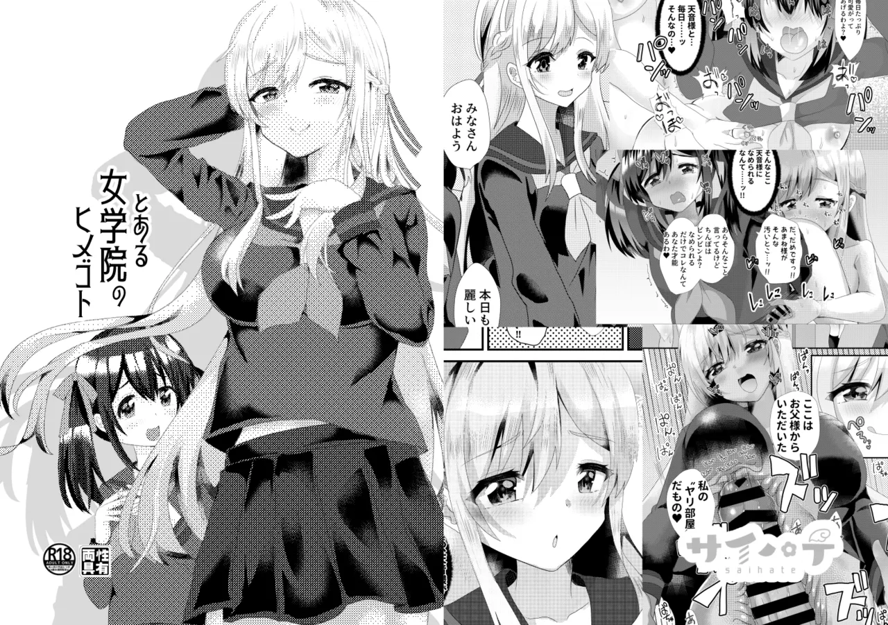 とある女学院のヒメゴト Page.2