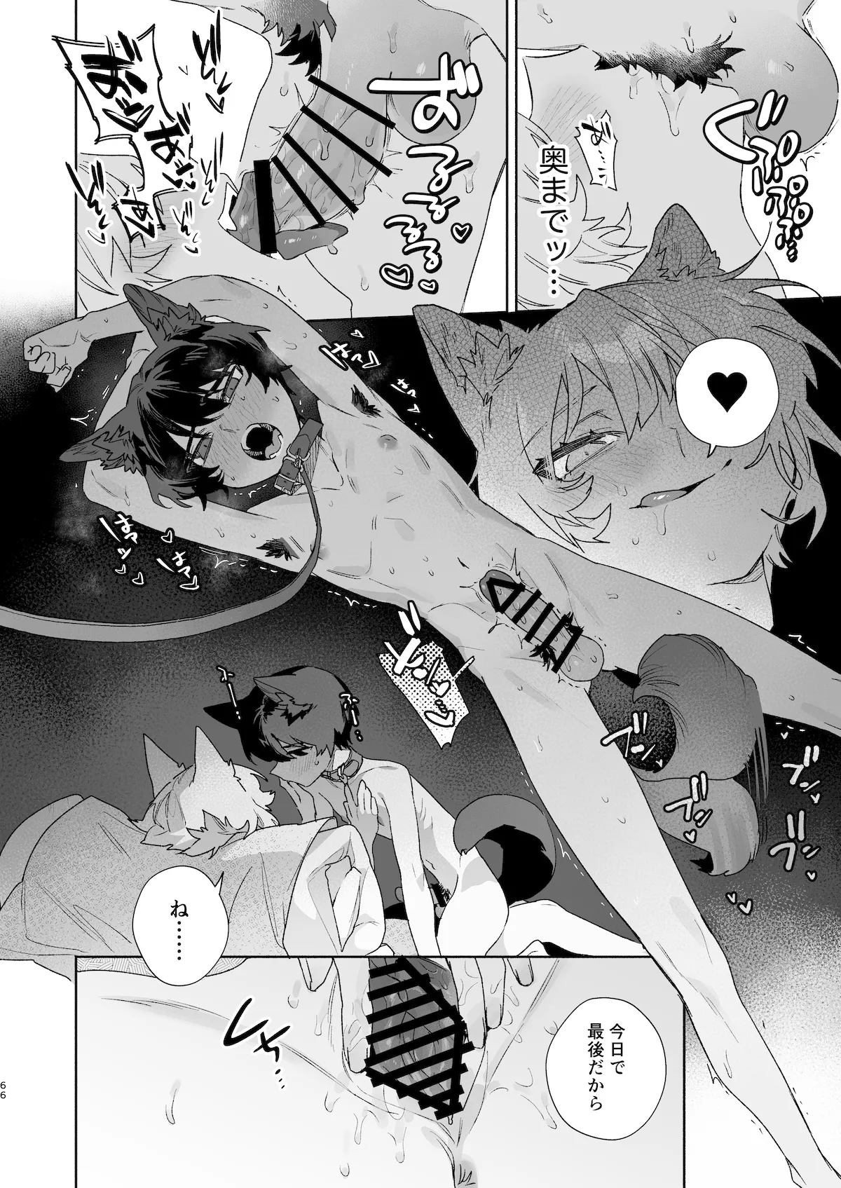 ♂が受け。コヨーテちゃん×甲斐犬くん2 Page.67