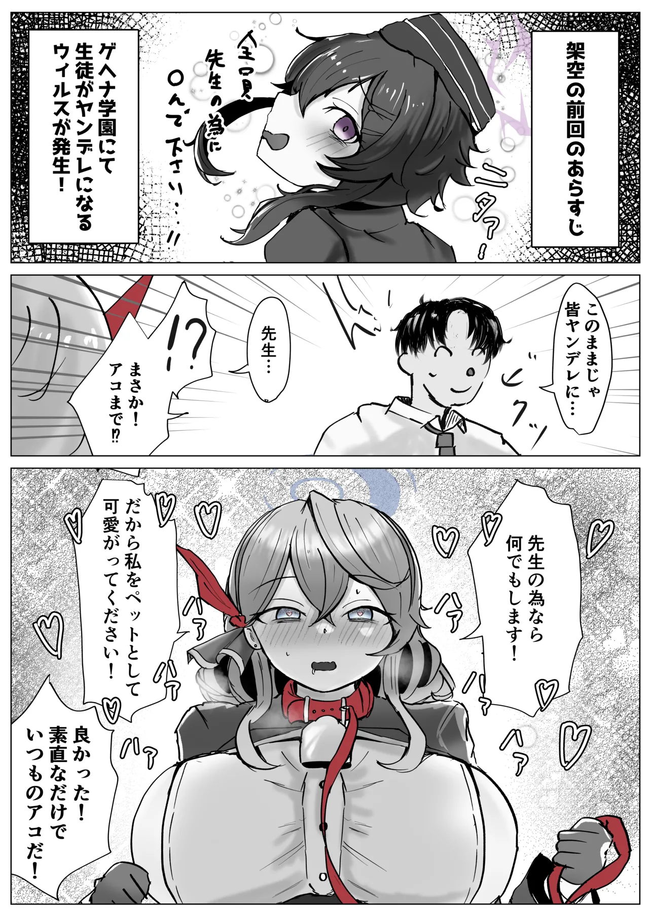 アコプラ Page.12