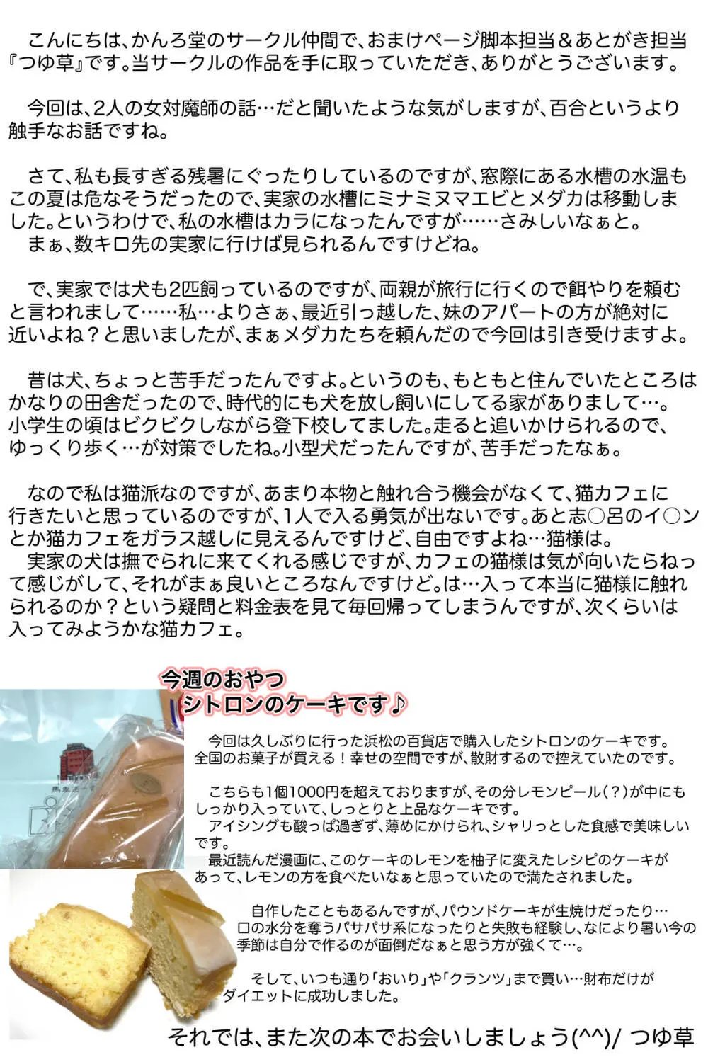 敗北した2人の対魔師触手責め Page.47