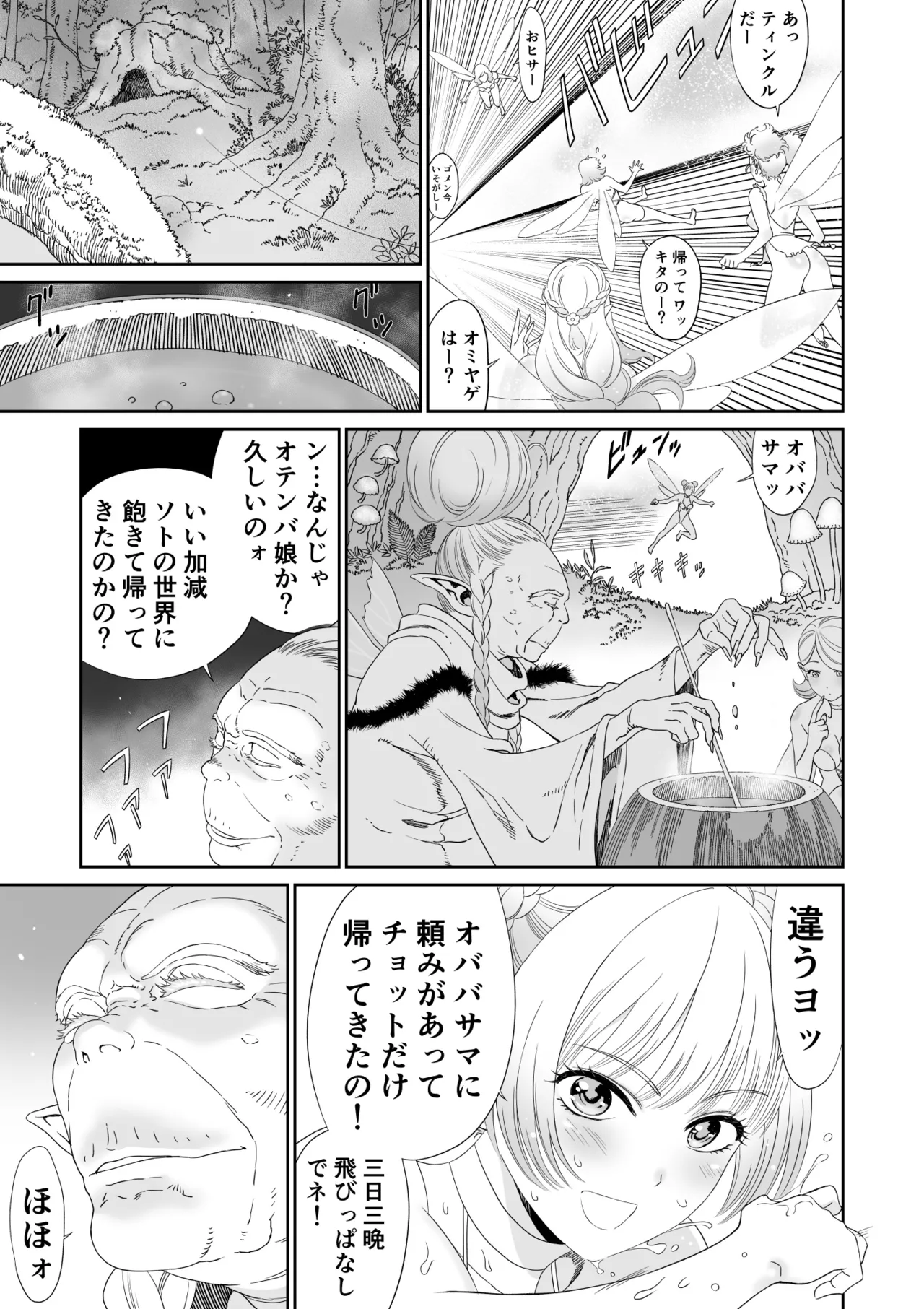 [有幻草原] 妖精でも入れサセたい！ Page.13