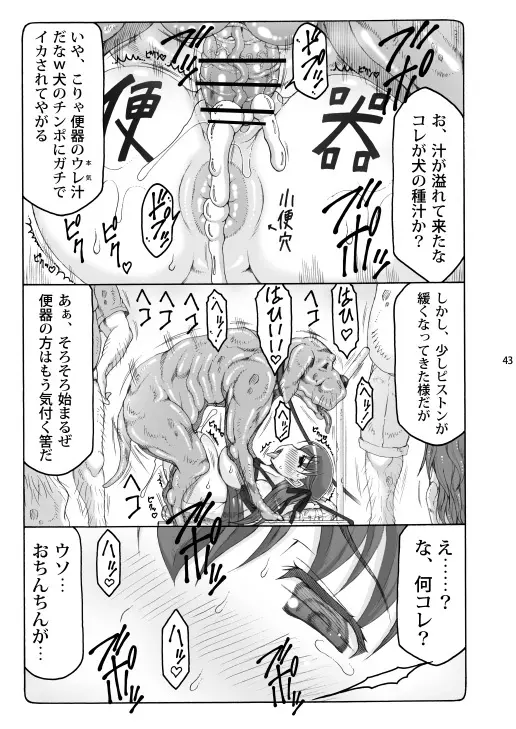 蟲鳥総集編2 デジタル版 Page.42