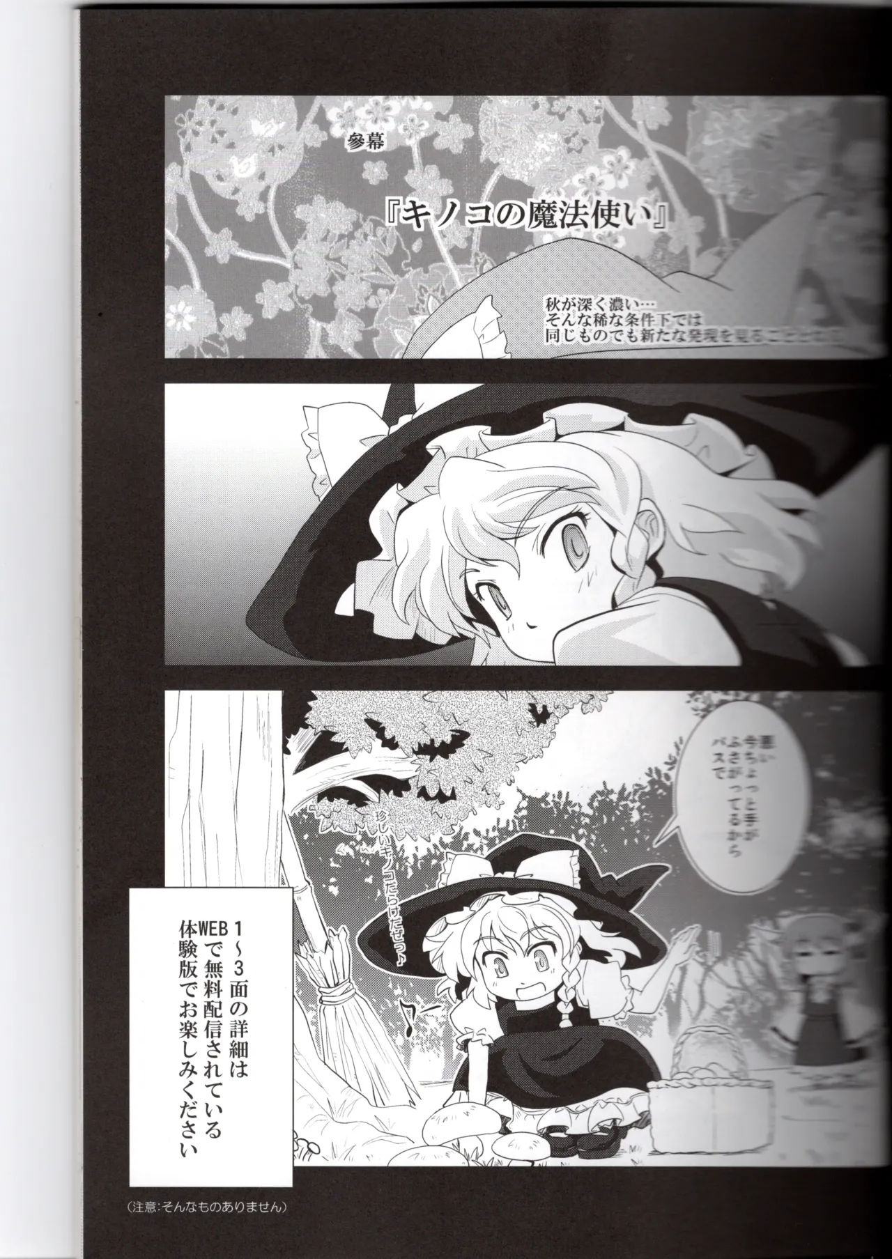 博麗神社に秋が来ない Page.11