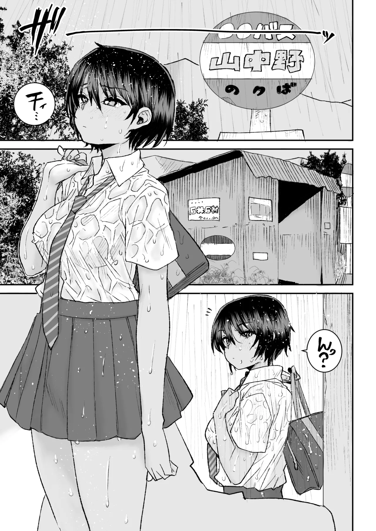 無口で気の強いボーイッシュなお姉ちゃんで僕は童貞を卒業しました Page.2
