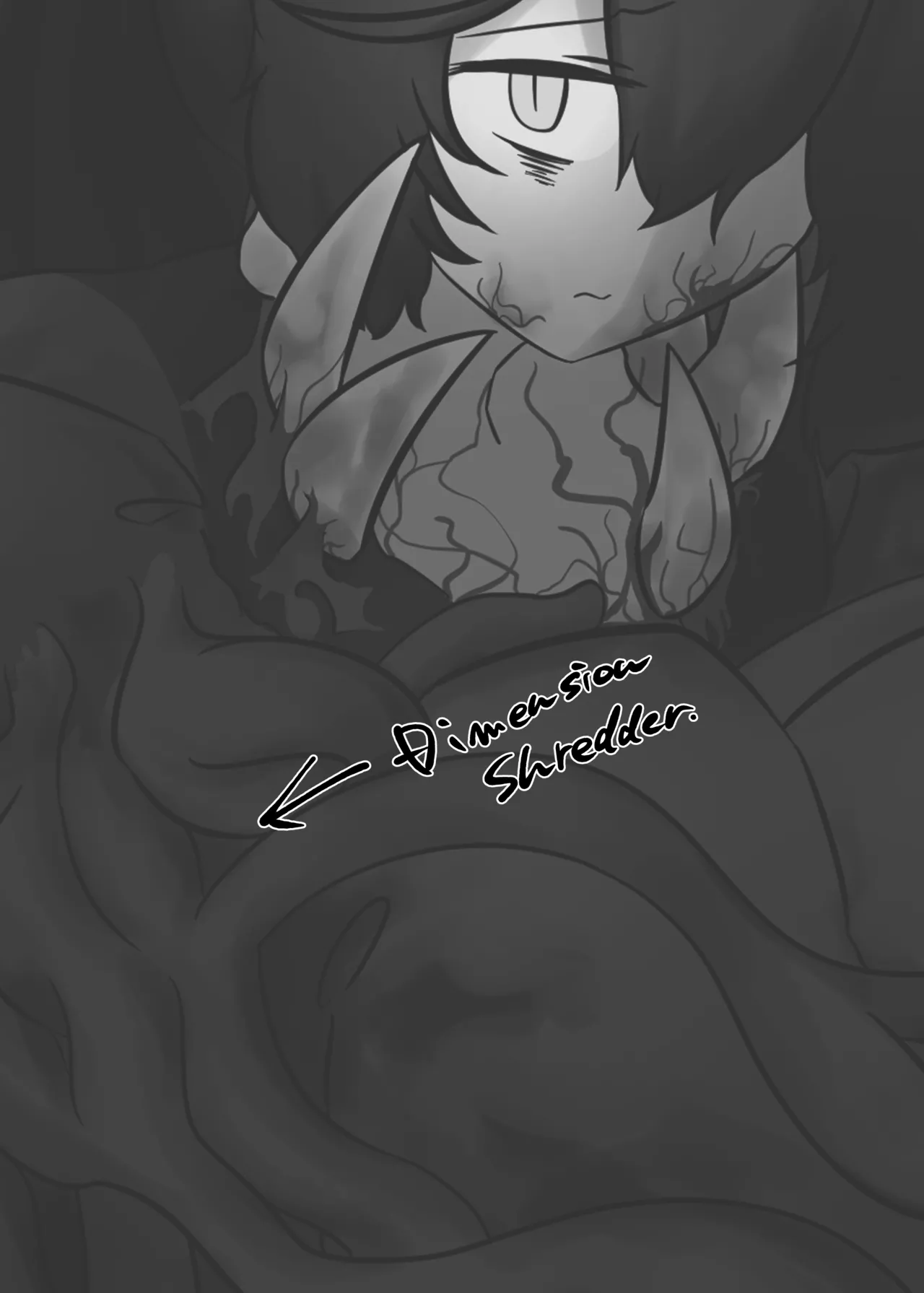 V.V.S.V. Page.11