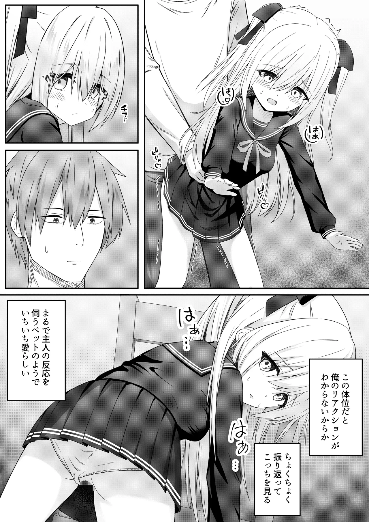 代替品 + 制作記セット Page.21