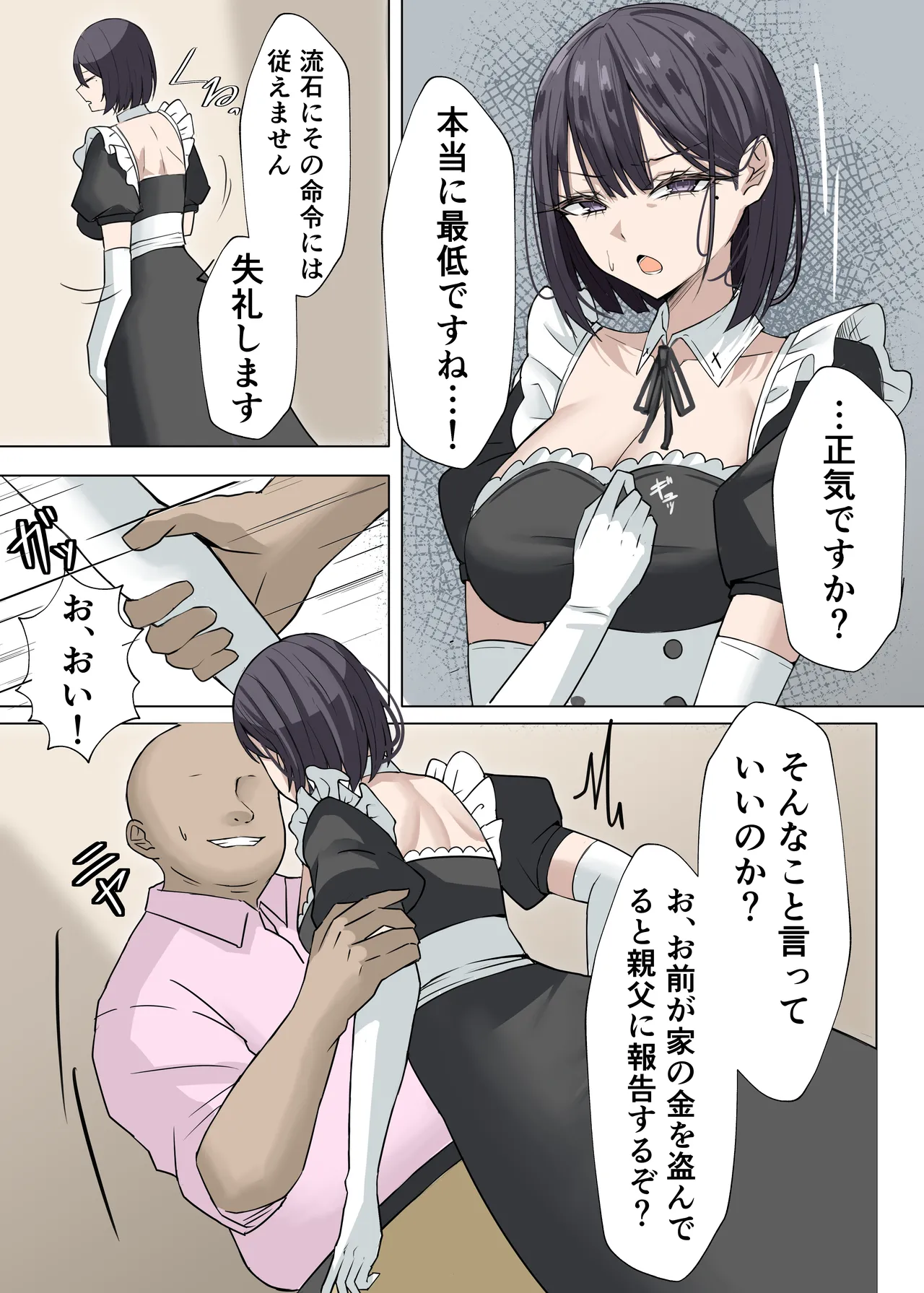 クール系メイドさんに命令して中出しS〇Xする話 Page.11