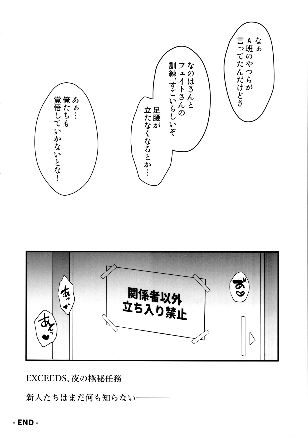 EXCEEDS極秘任務 FILE:NANOHA×FATE Page.17