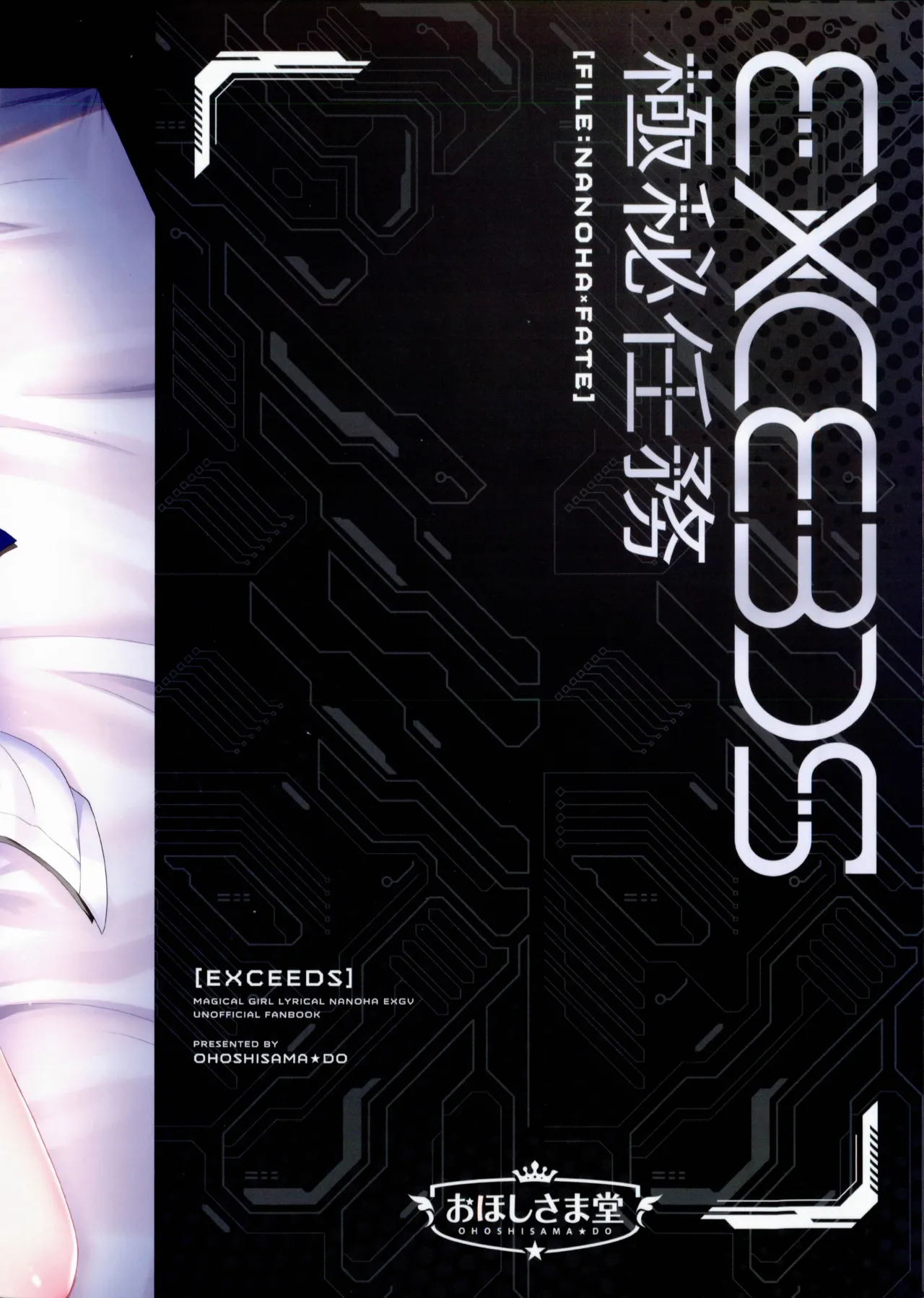 EXCEEDS極秘任務 FILE:NANOHA×FATE Page.20