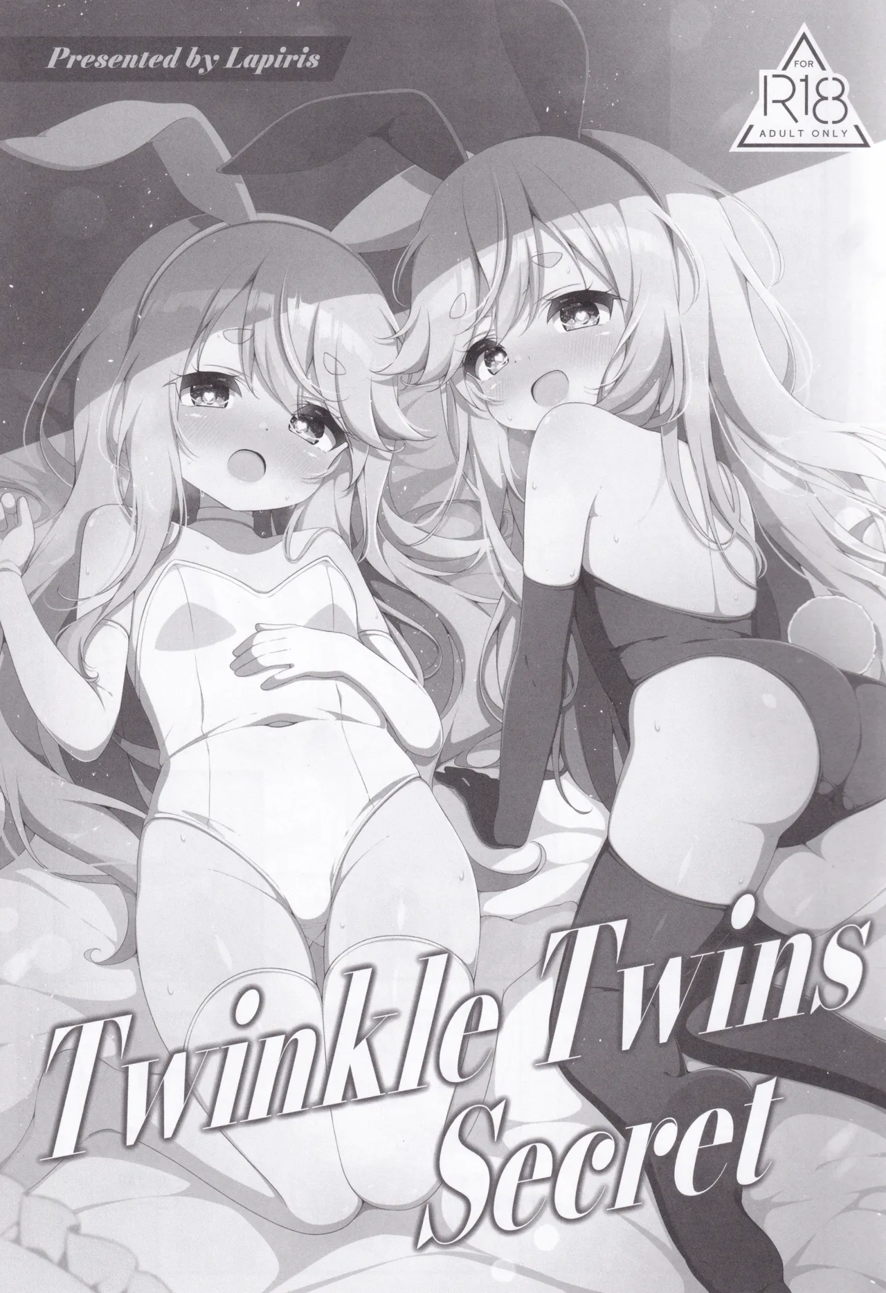 Twinkle Twins Secret Page.2