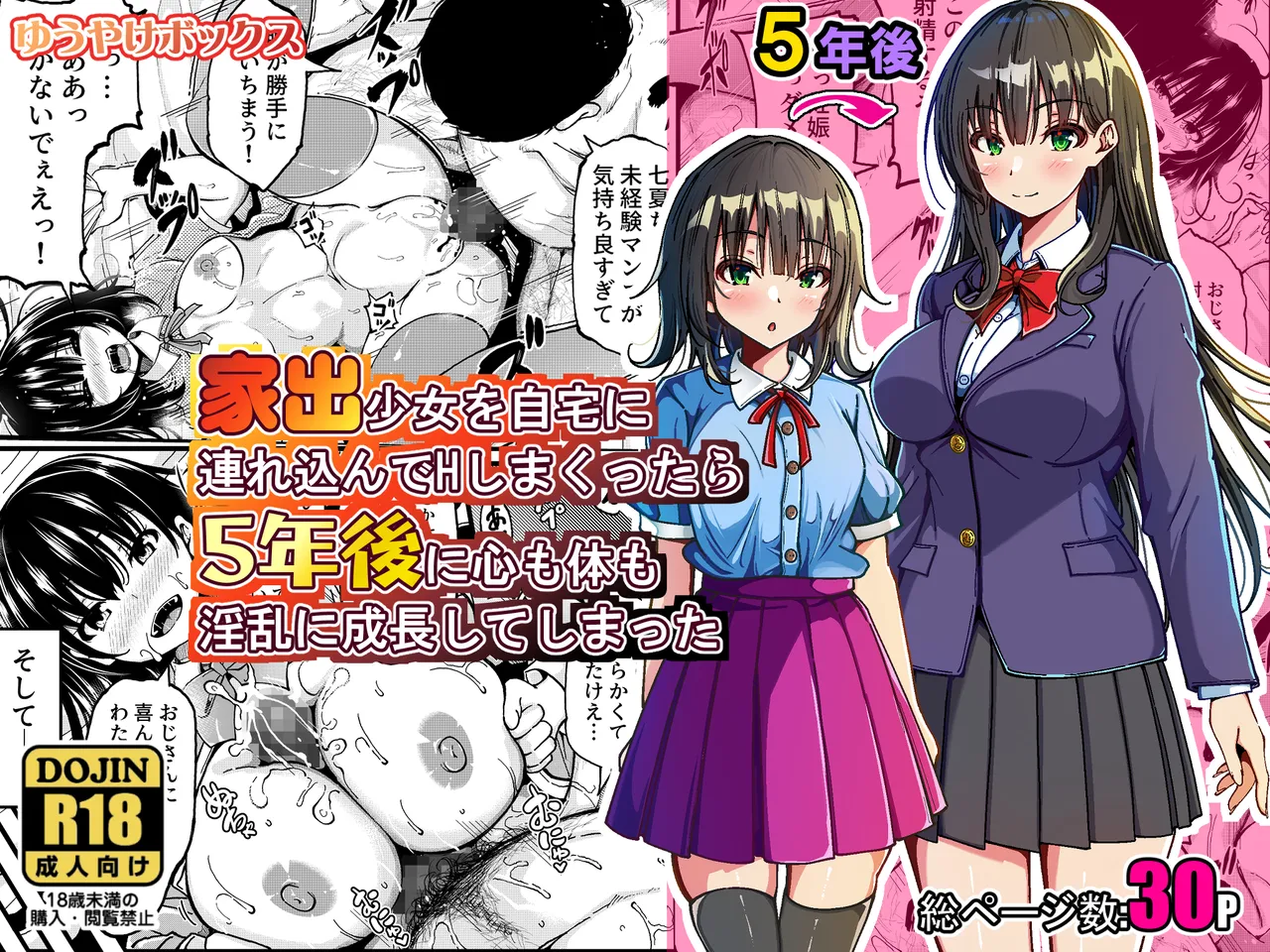 家出少女を自宅に連れ込んでHしまくったら５年後に心も体も淫乱に成長してしまった
