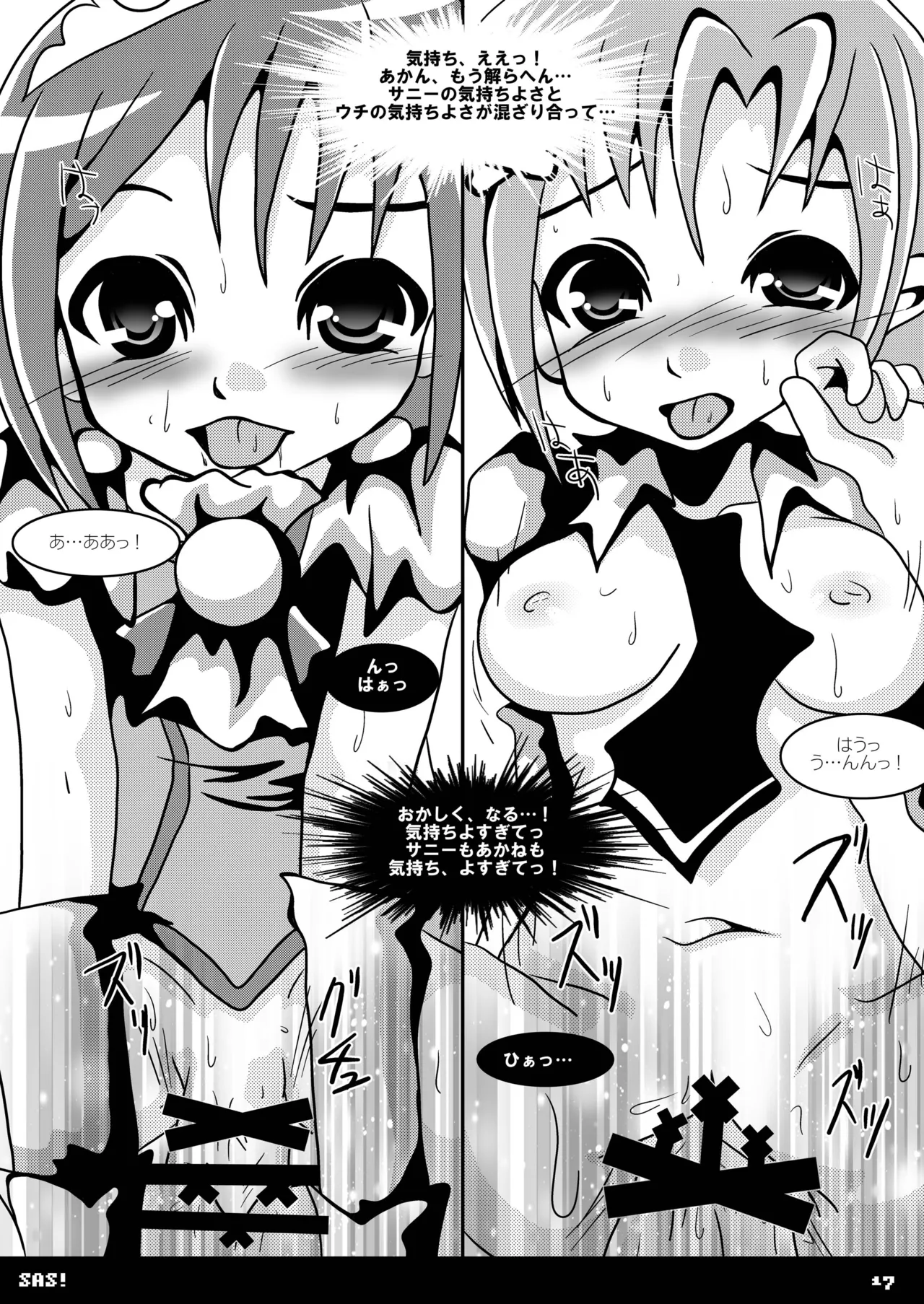 SAS! Page.17