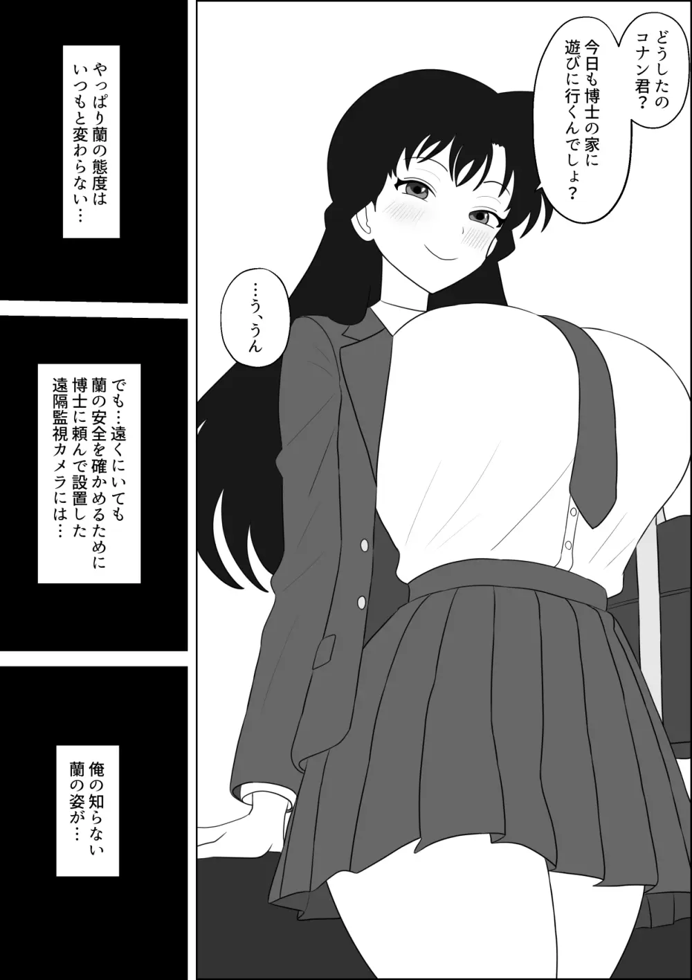 蘭ねーちゃんNTR Page.11