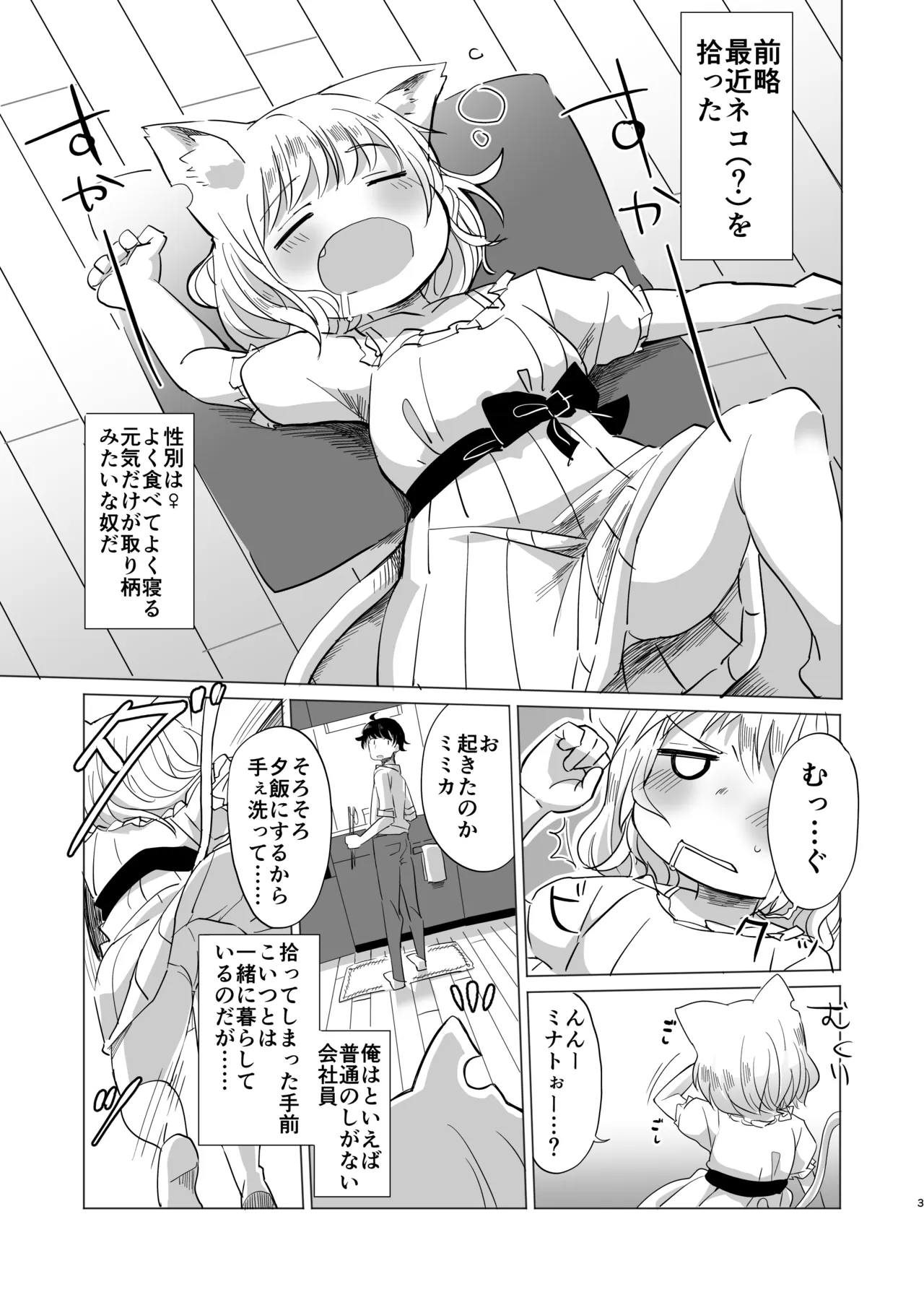 わがまま仔猫のしつけ方。 Page.2