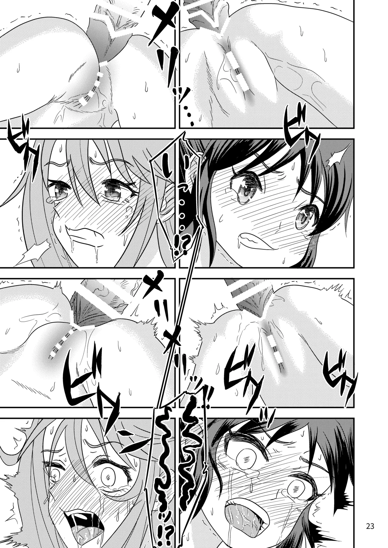 いちごの蕾とミントの苗床 Page.24