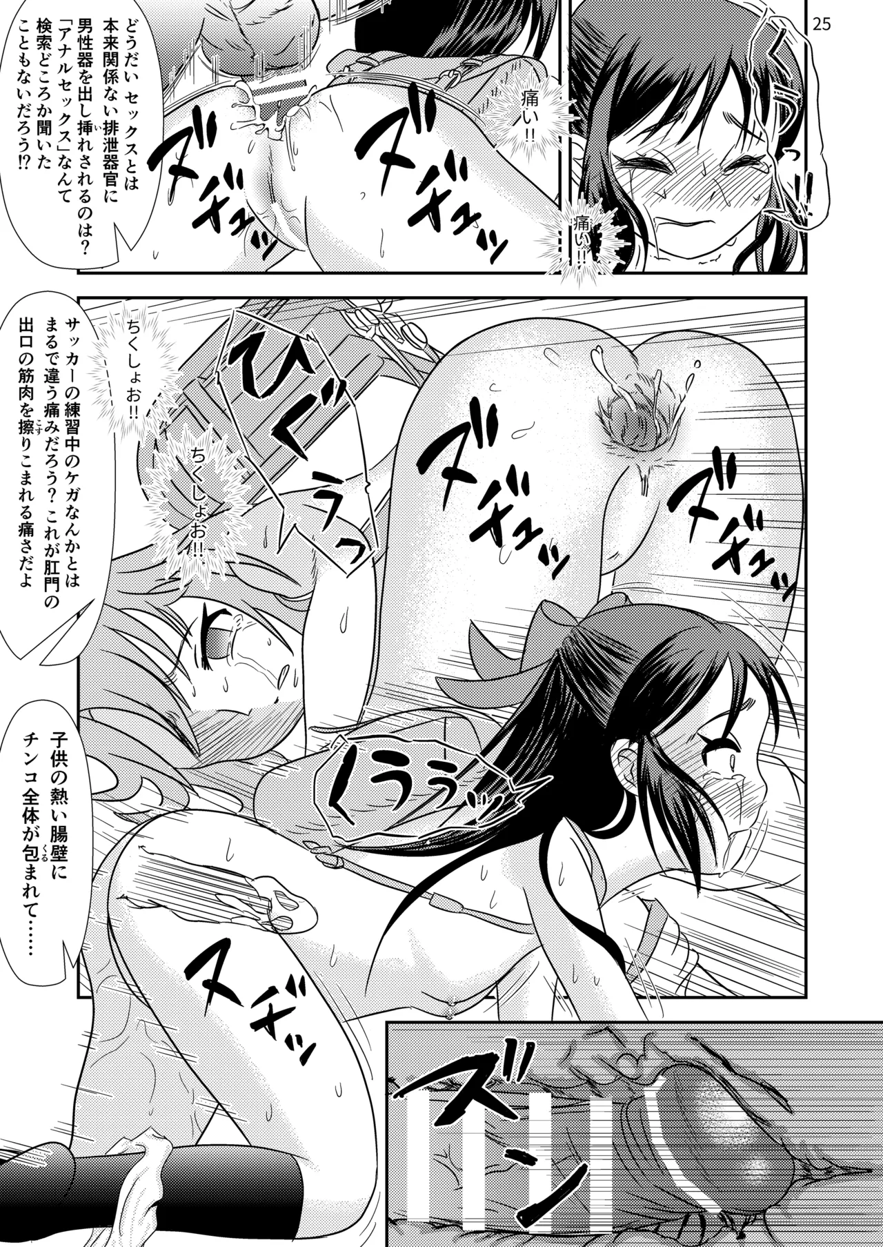 いちごの蕾とミントの苗床 Page.26