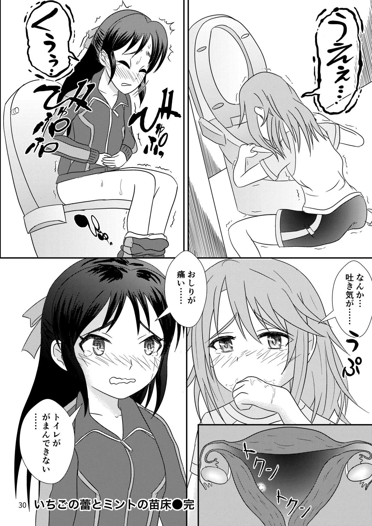 いちごの蕾とミントの苗床 Page.31