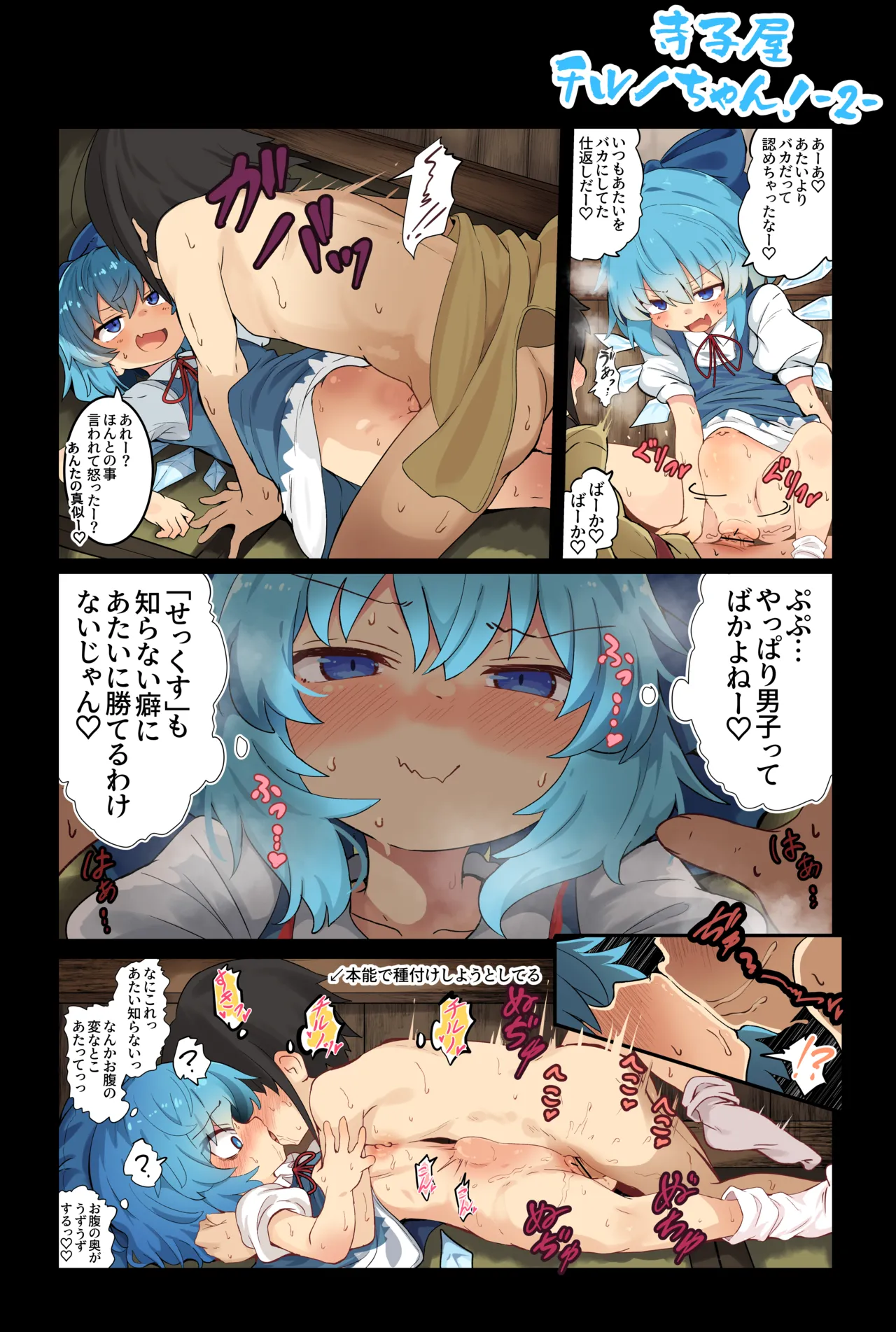 単ページえっち漫画【寺子屋チルノちゃん！