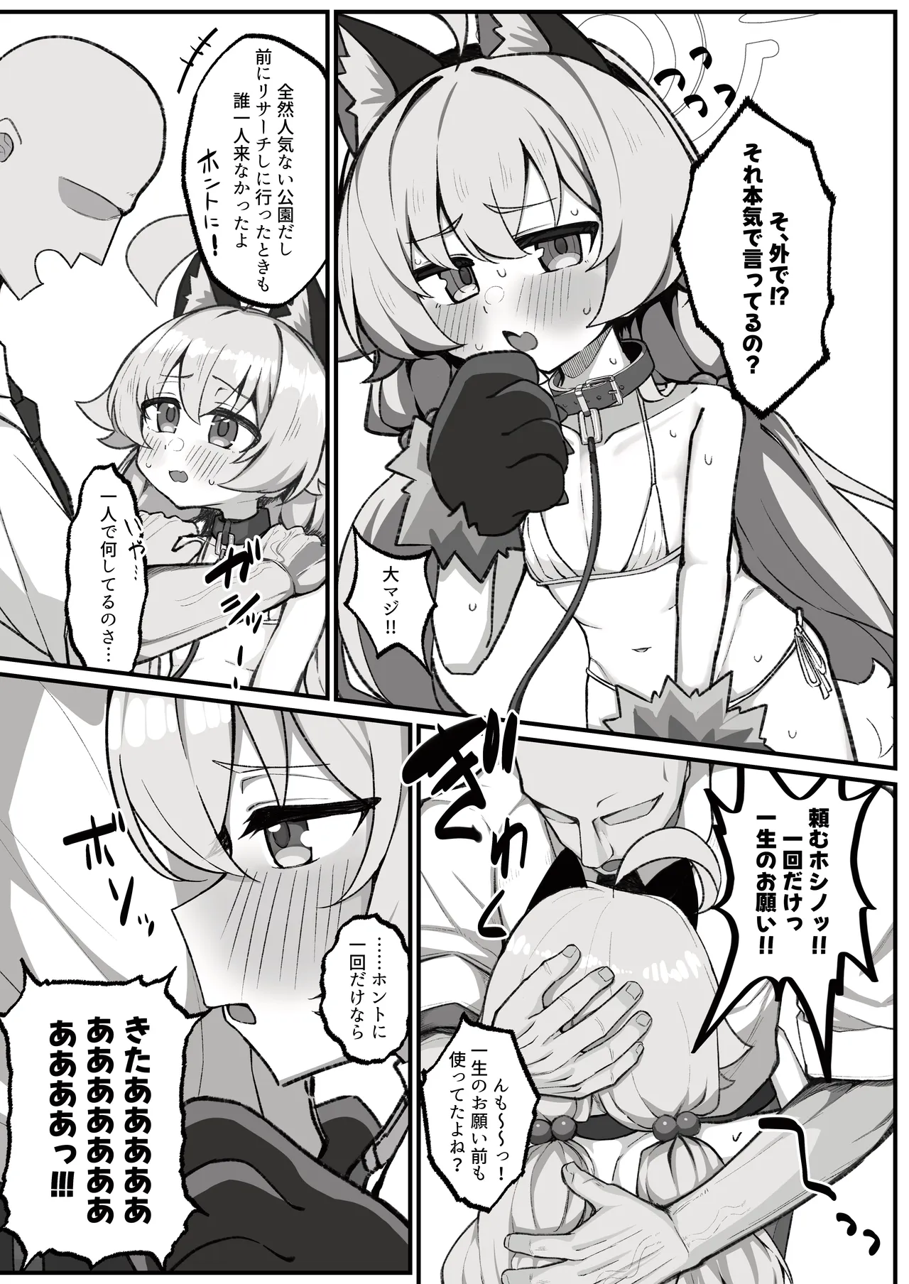ホシノとペット性活-お散歩編- Page.4