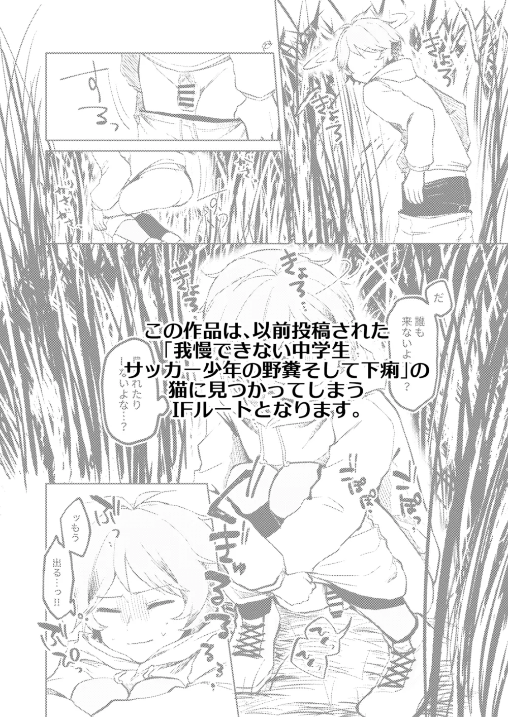 DC大スカ野外 (固形if) ♂ Page.3