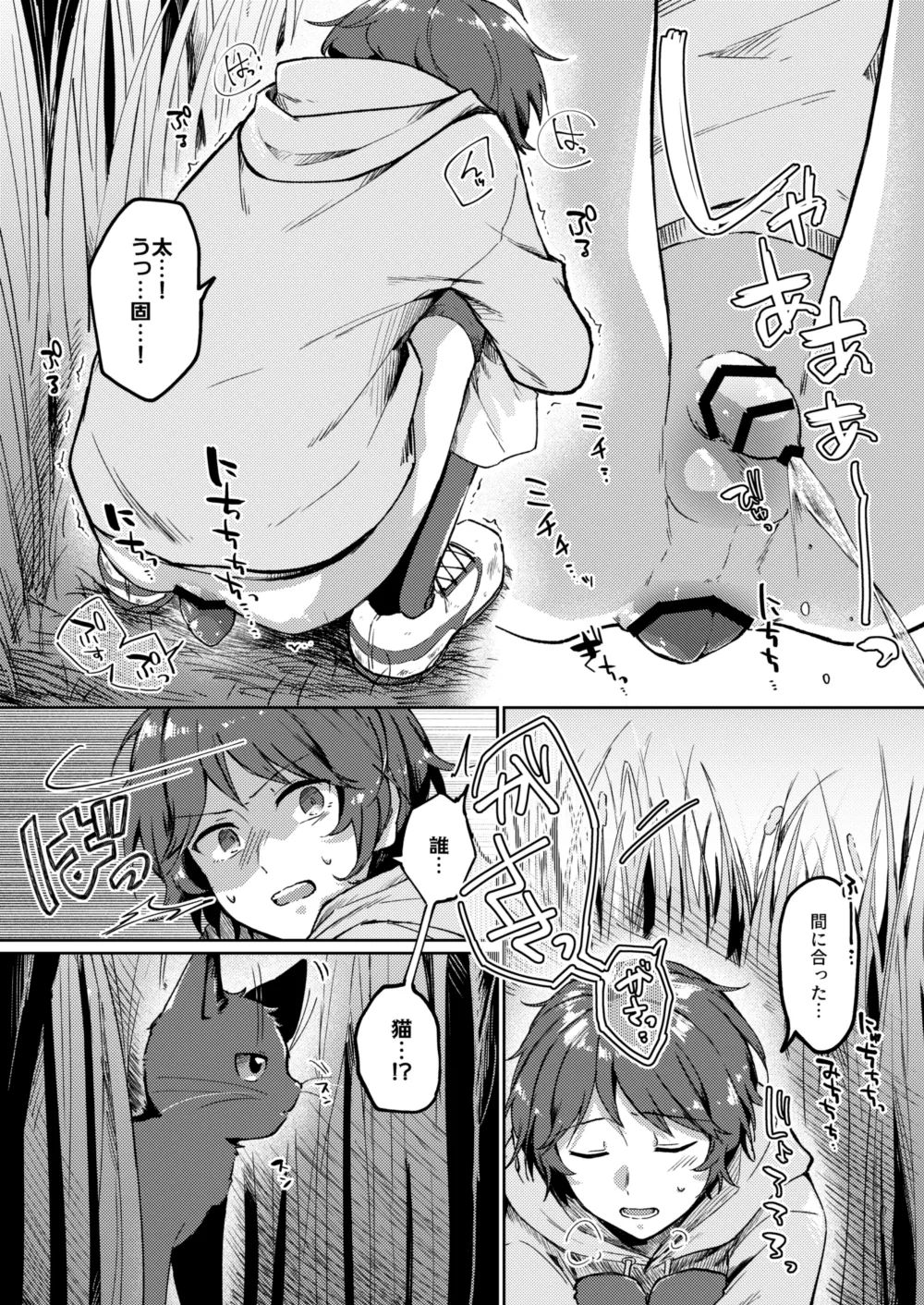 DC大スカ野外 (固形if) ♂ Page.4